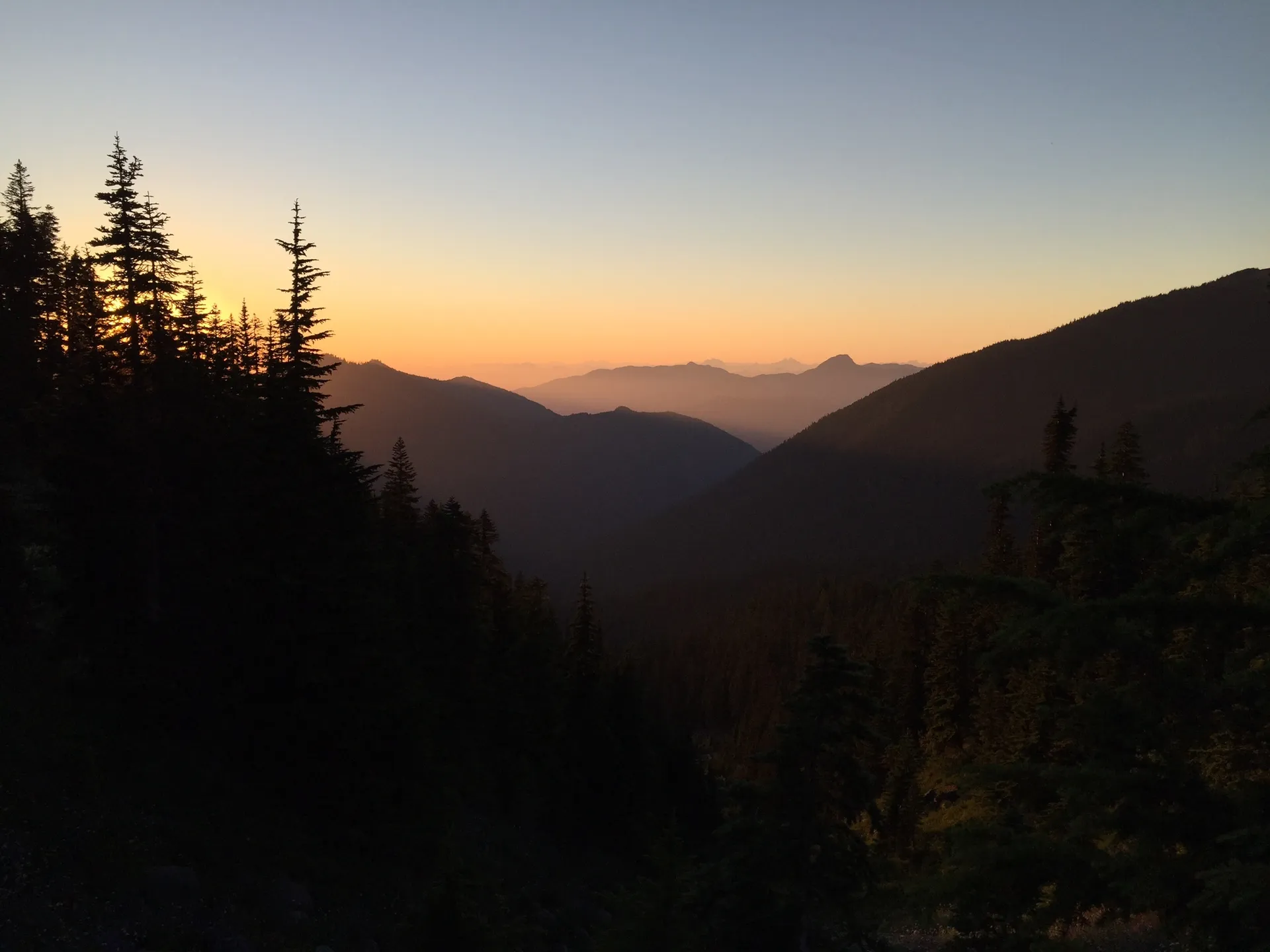 Bearythickpnw OnlyFans header