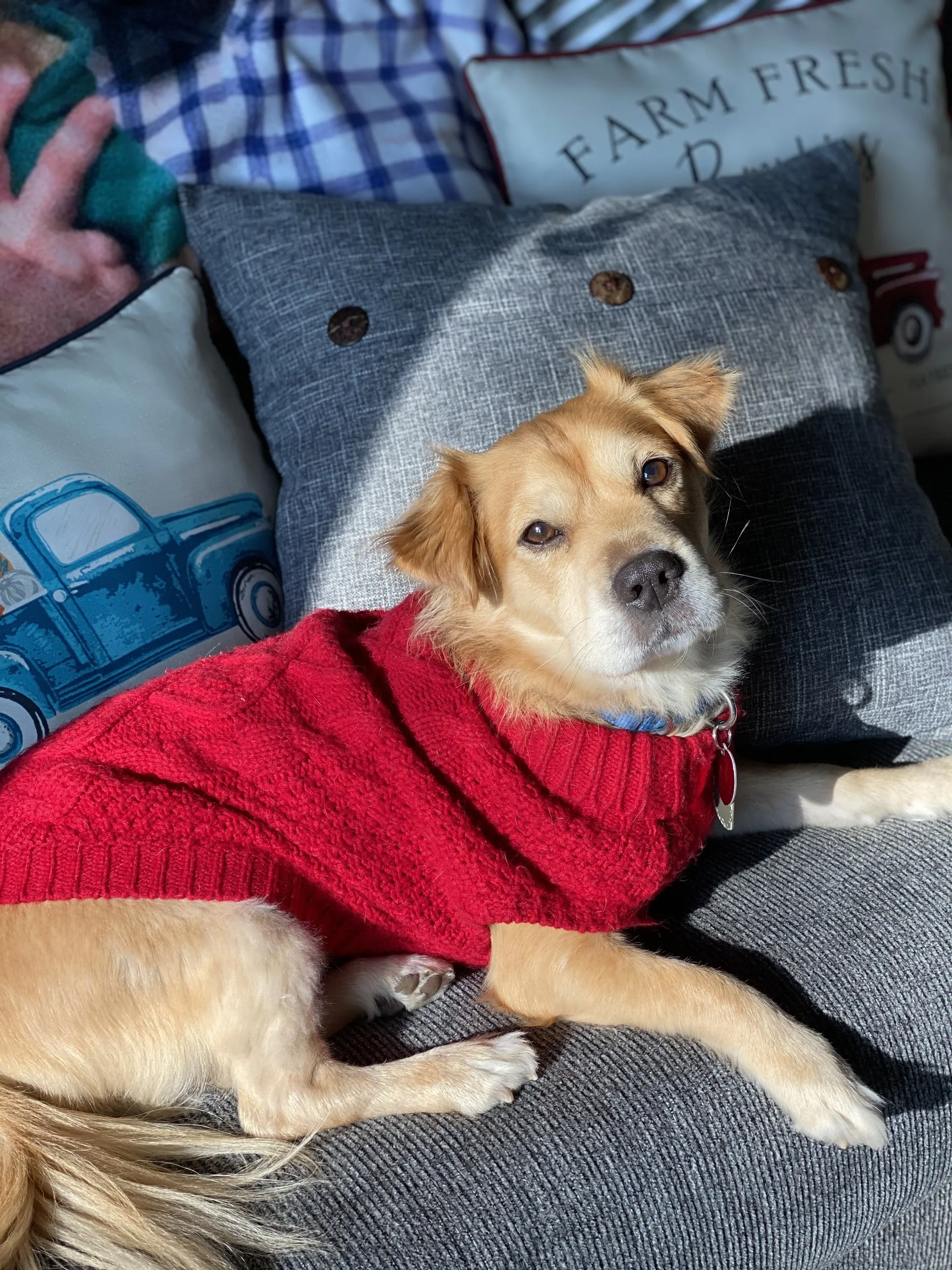 Stephen Wieting OnlyFans header