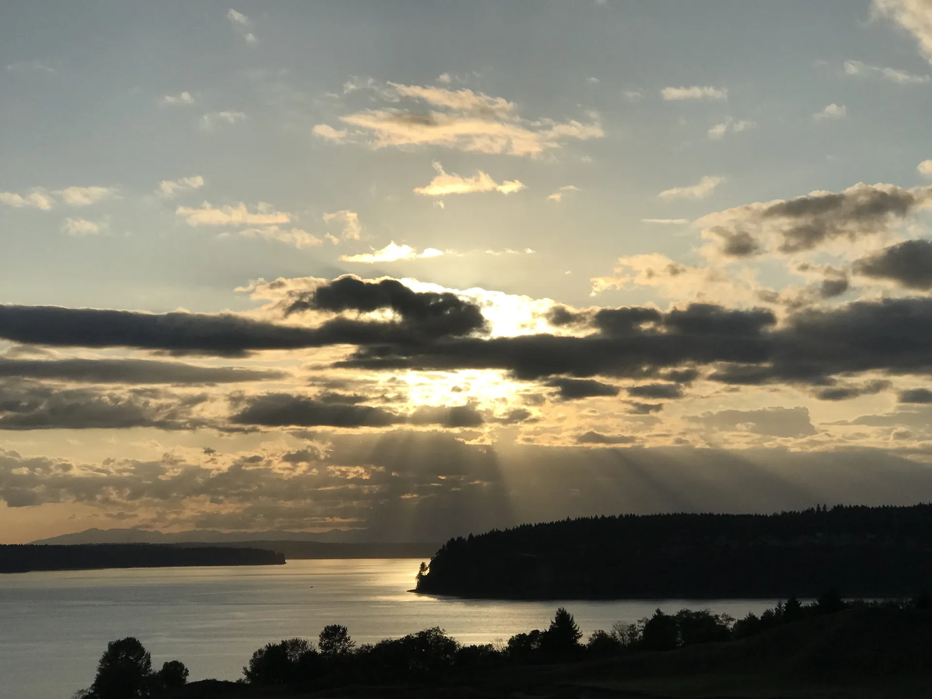 Dane OnlyFans header