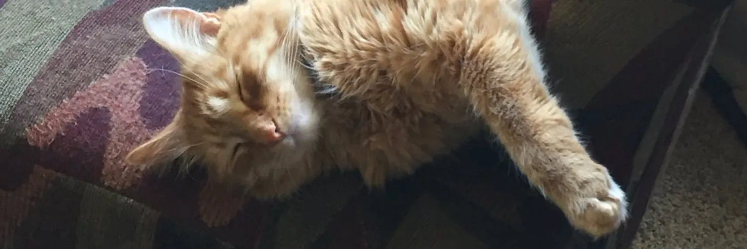 Hamms Daddy OnlyFans header