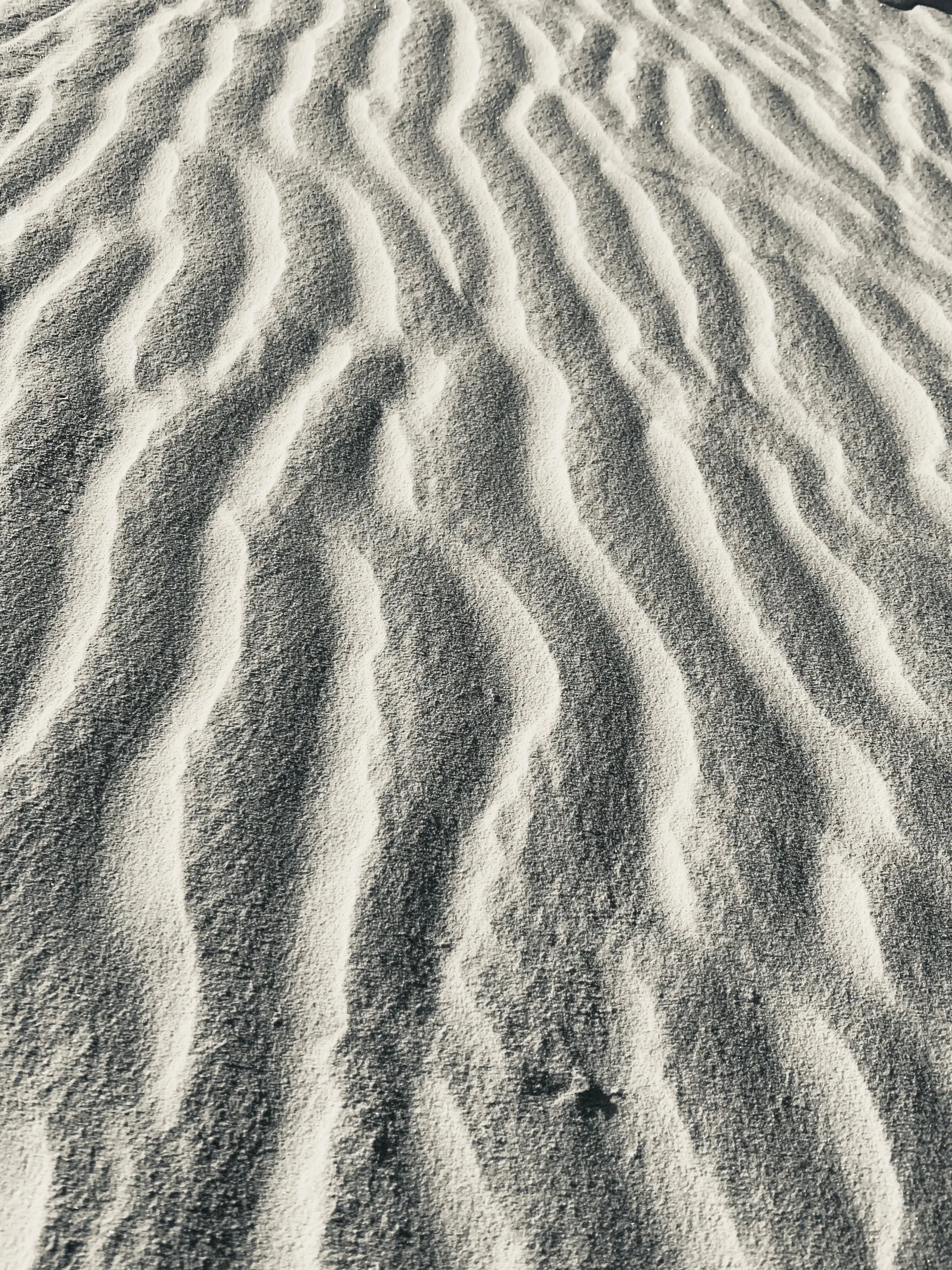 Beau OnlyFans header