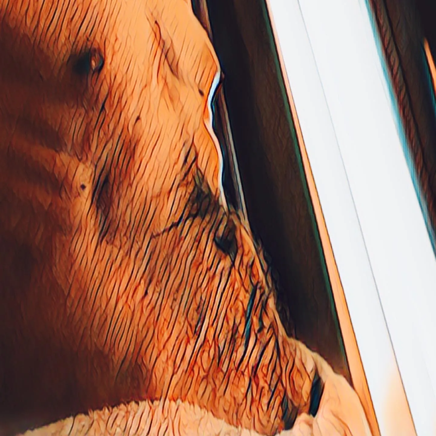 Beaute_des_hommes OnlyFans header