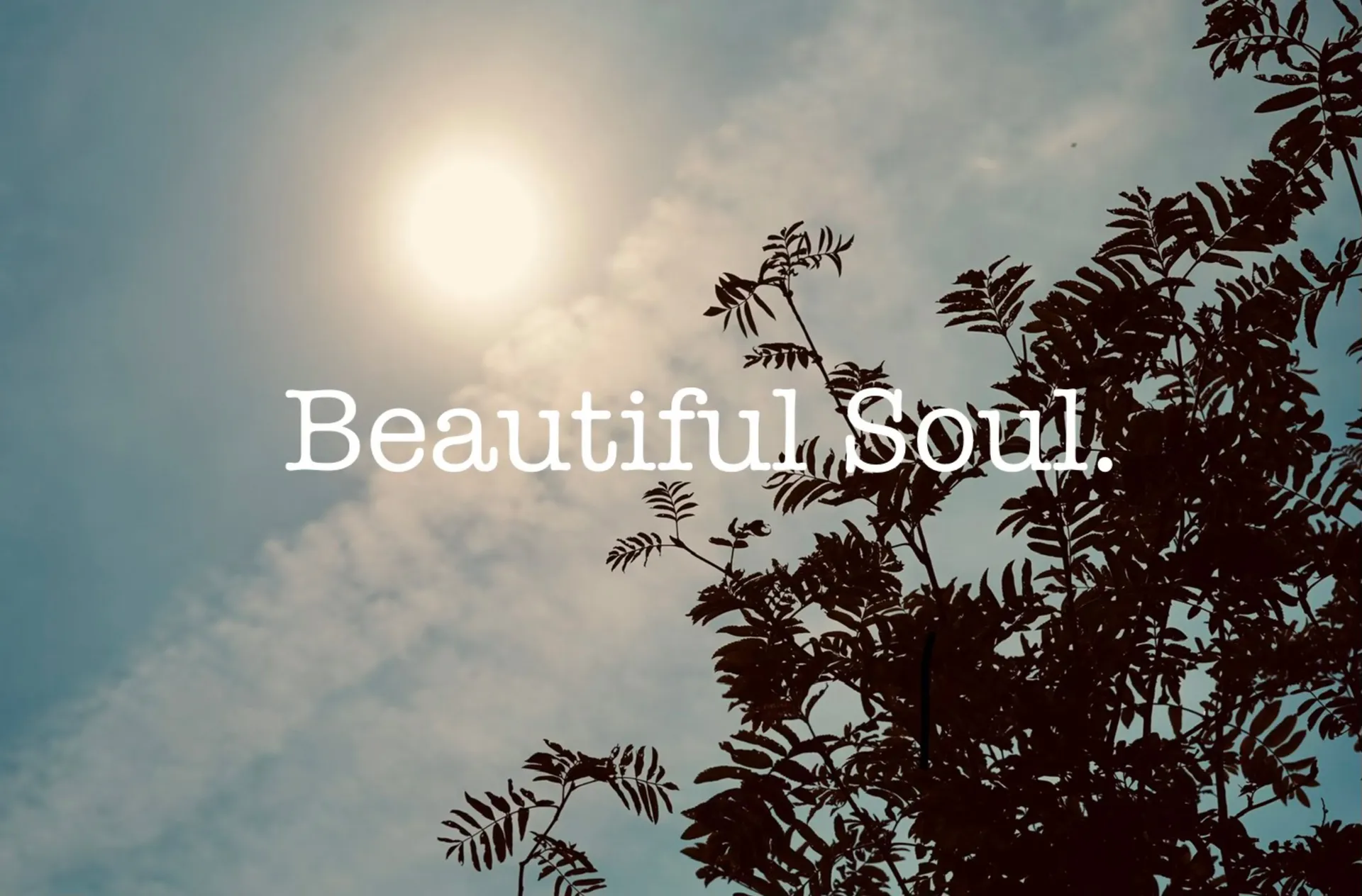 Beautiful Soul OnlyFans header