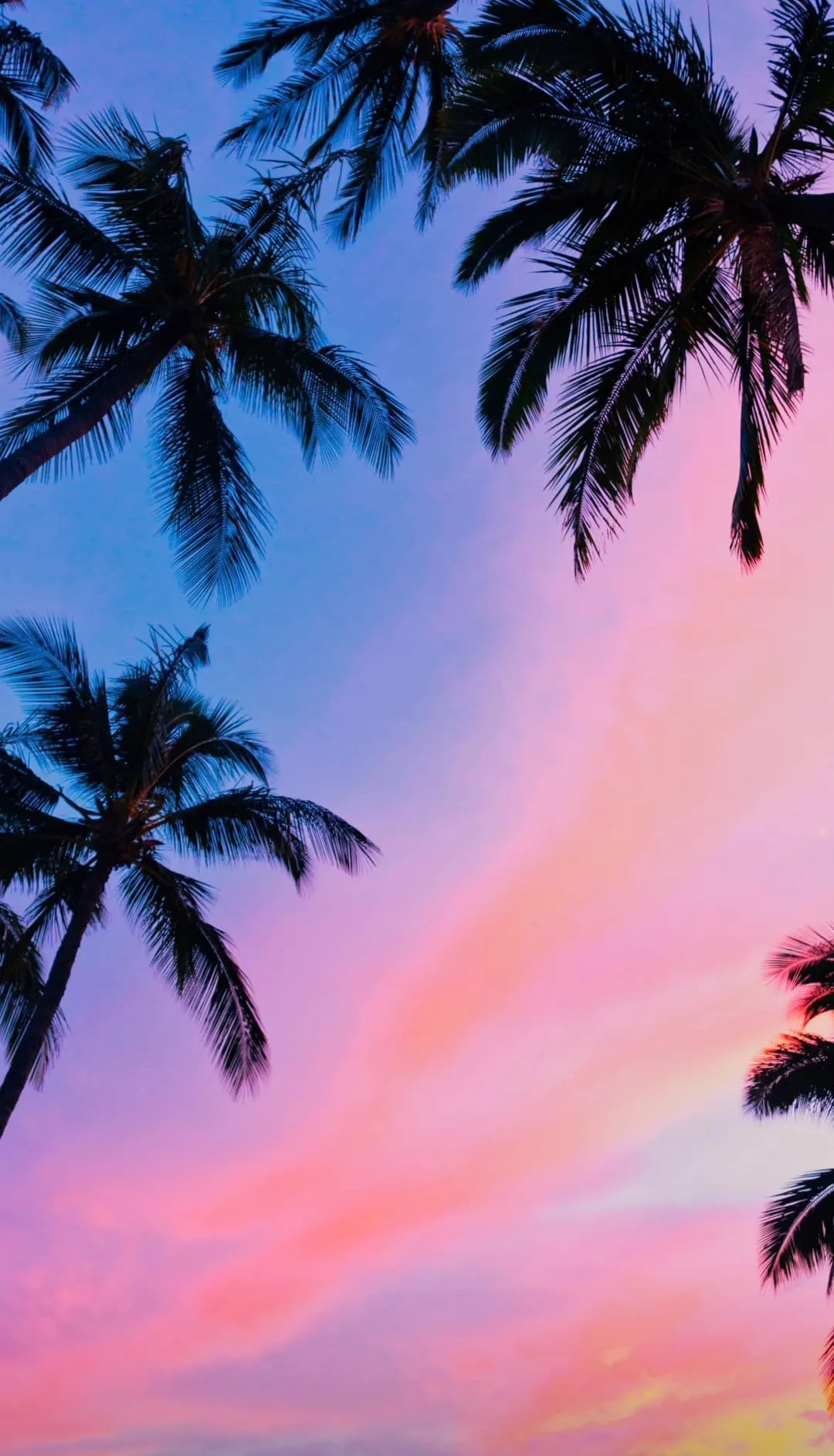 Kayla Lynn OnlyFans header