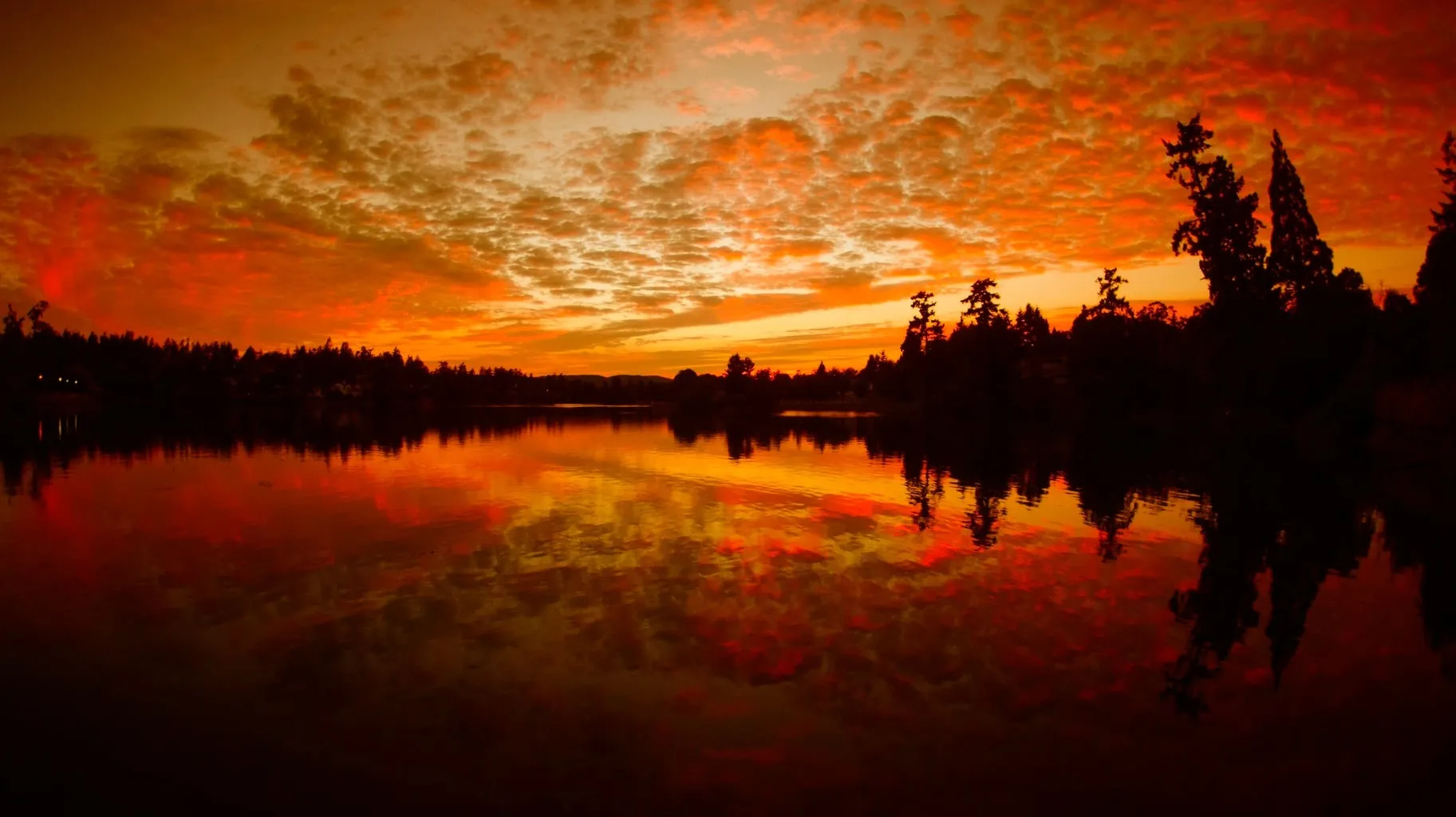 Ledys Torres OnlyFans header