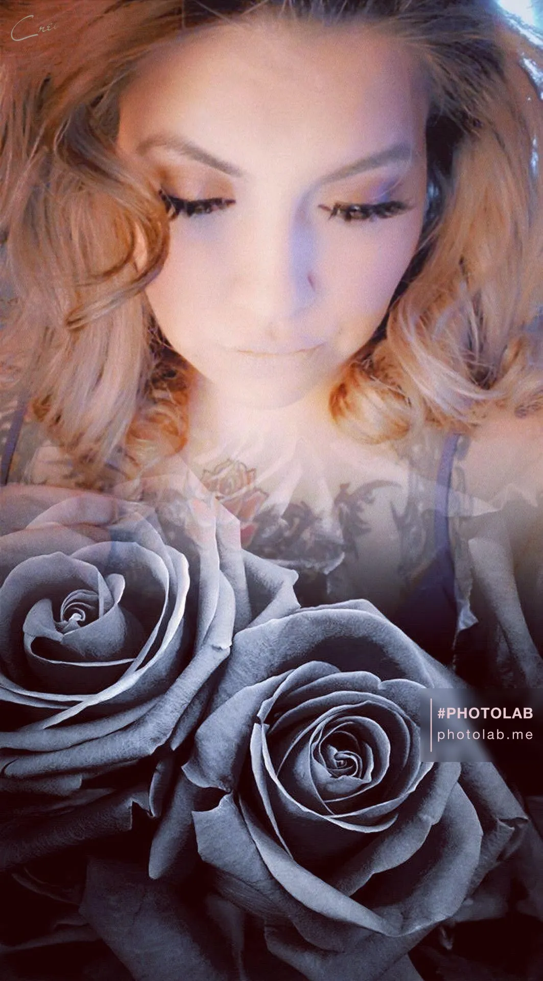 Renee Sena OnlyFans header