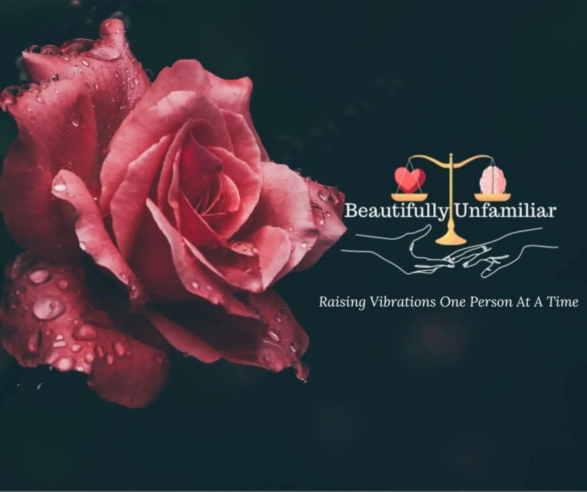 Ayla OnlyFans header