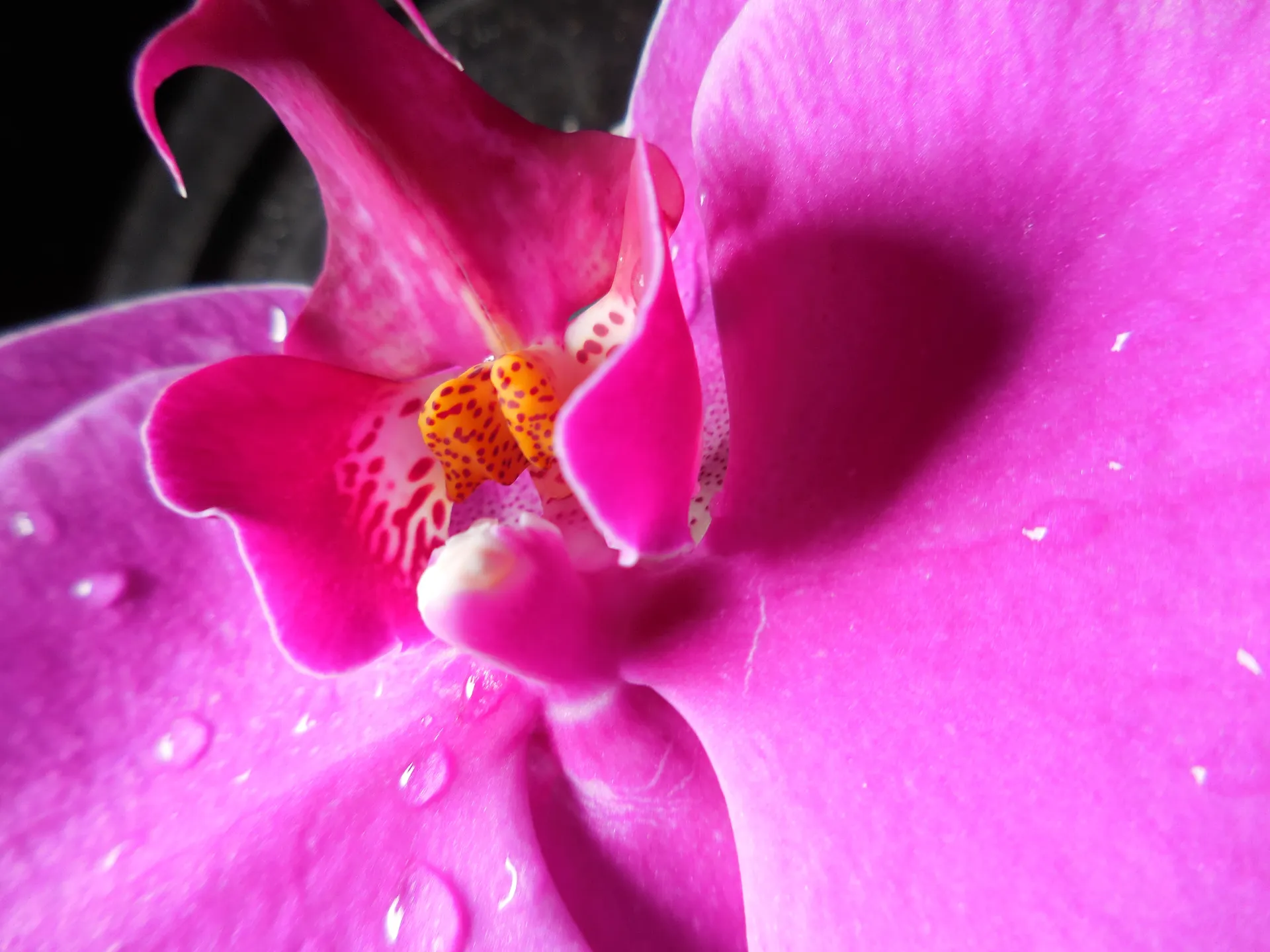 beautifulstranger64 OnlyFans header