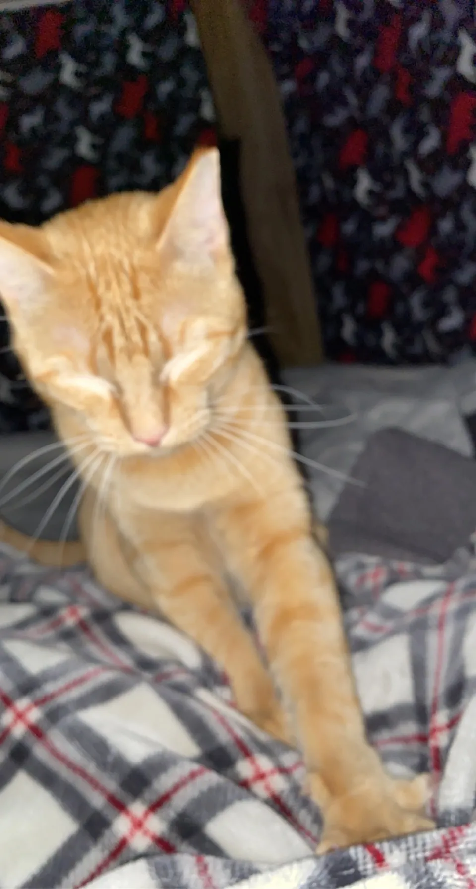 Beauty OnlyFans header