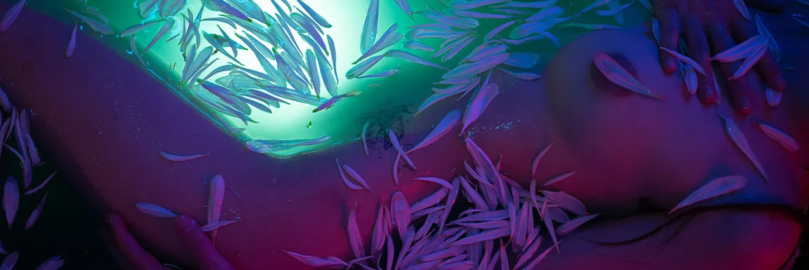 Beauty_Bird OnlyFans header