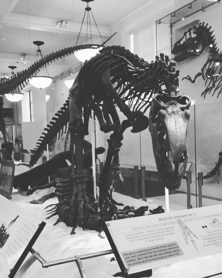 beautyisremembered OnlyFans header