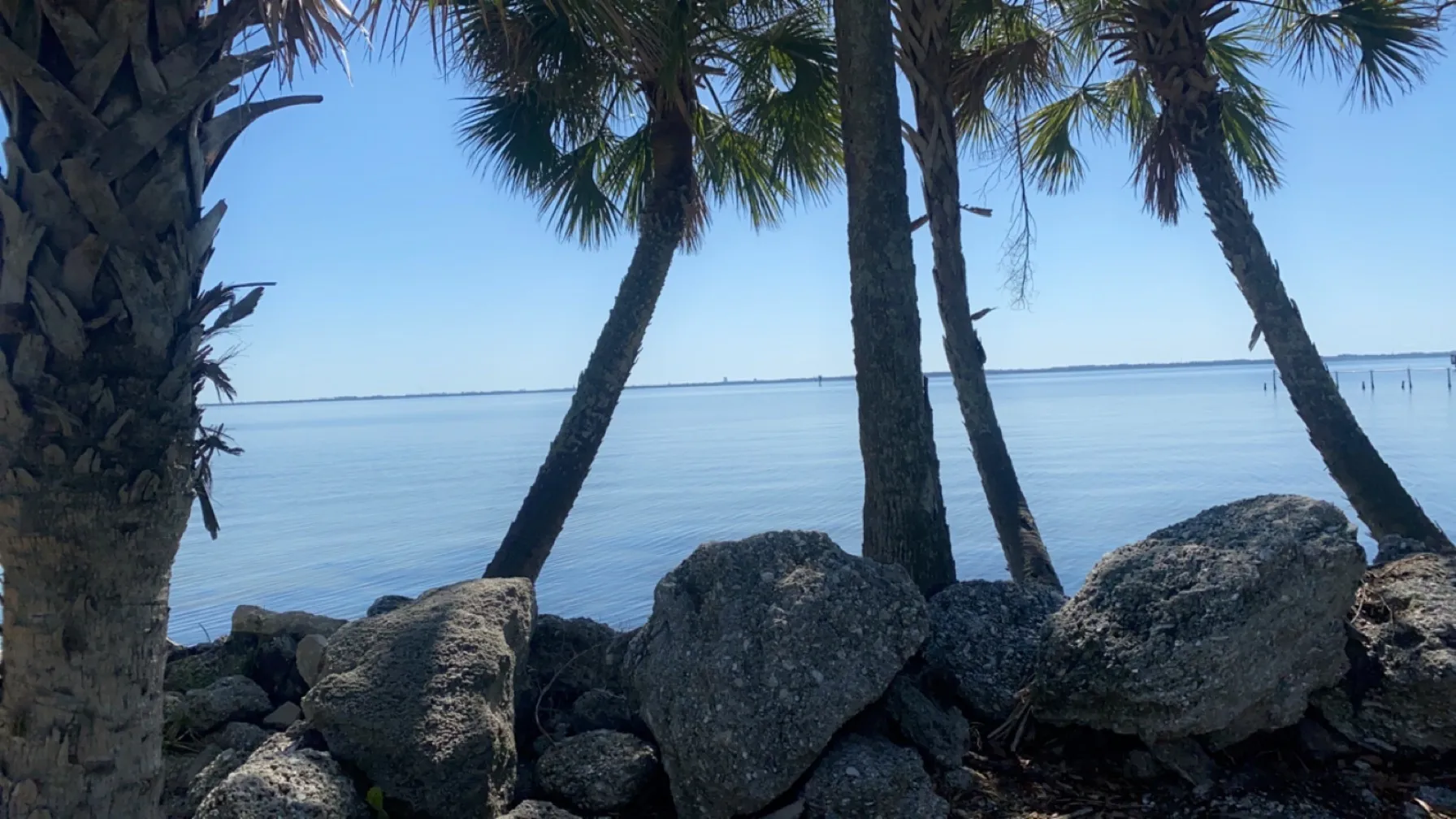 Babygirl OnlyFans header