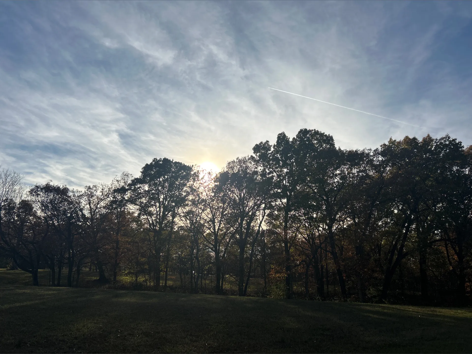 Crow OnlyFans header