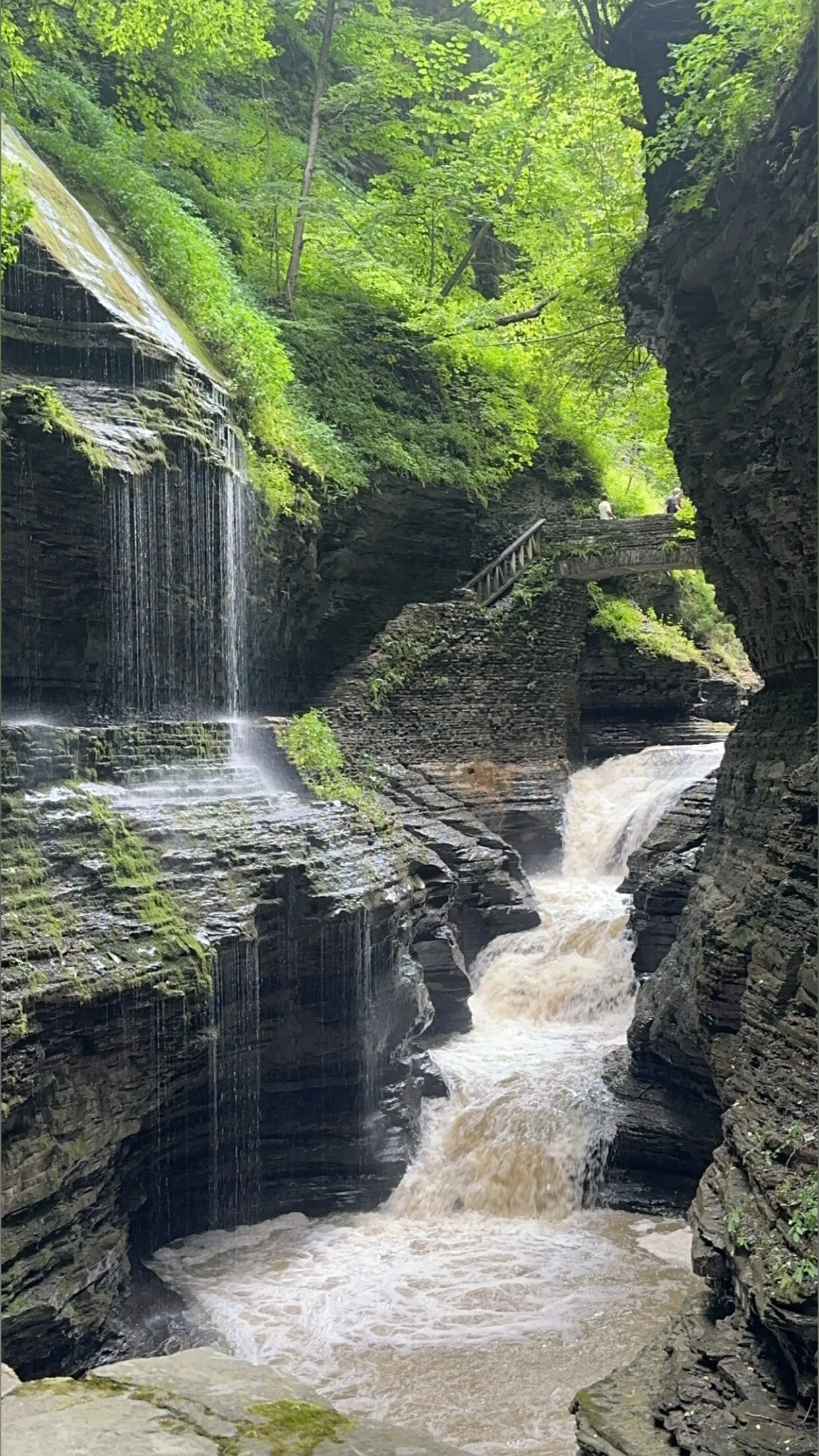 Sexybae OnlyFans header