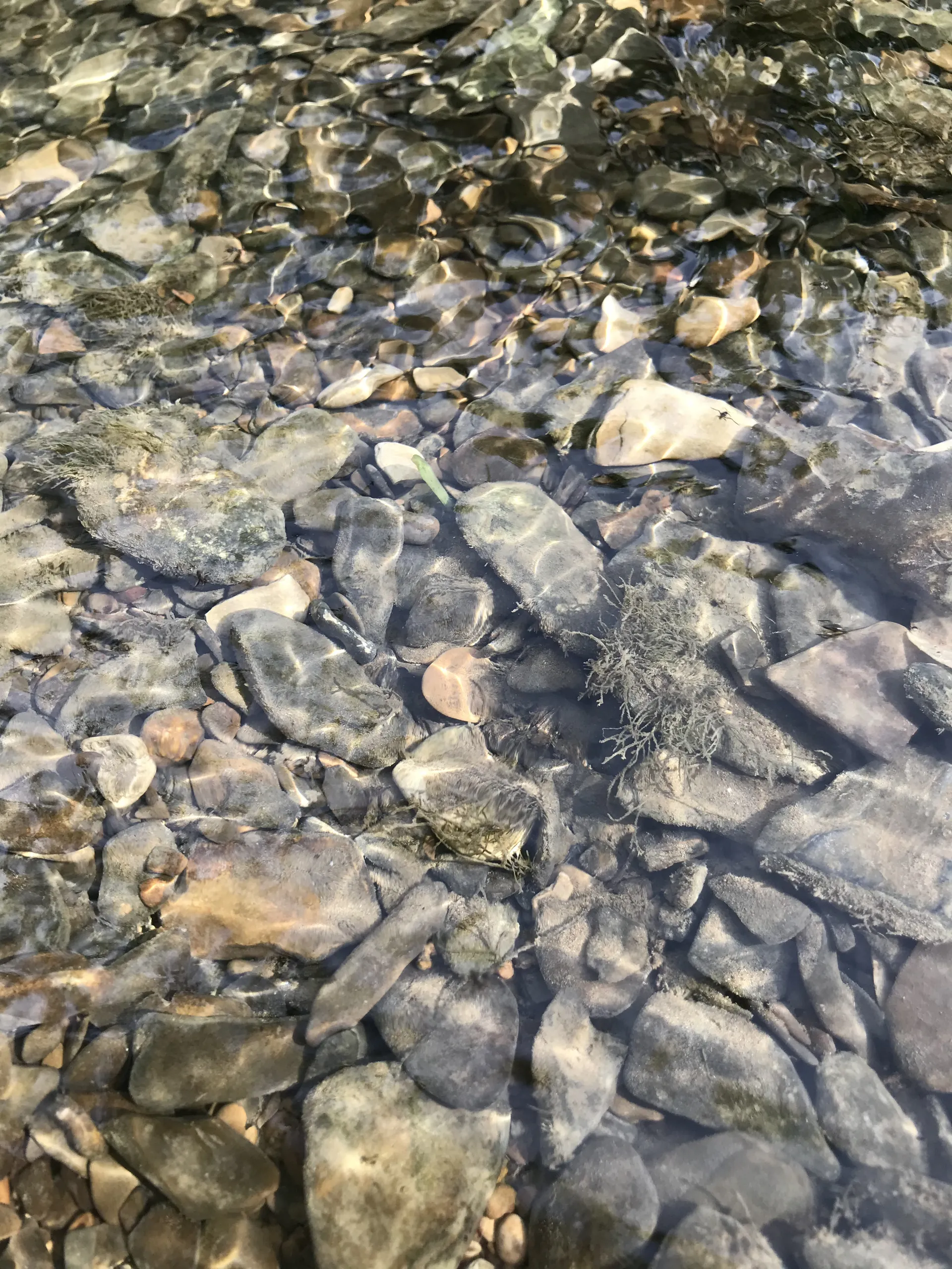 Luna Wilson OnlyFans header