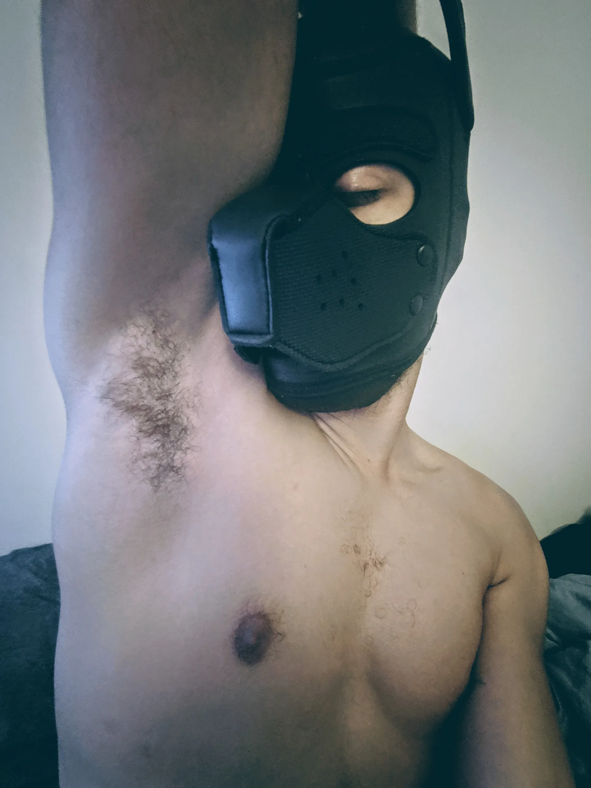 Pup Beaux Blac OnlyFans header