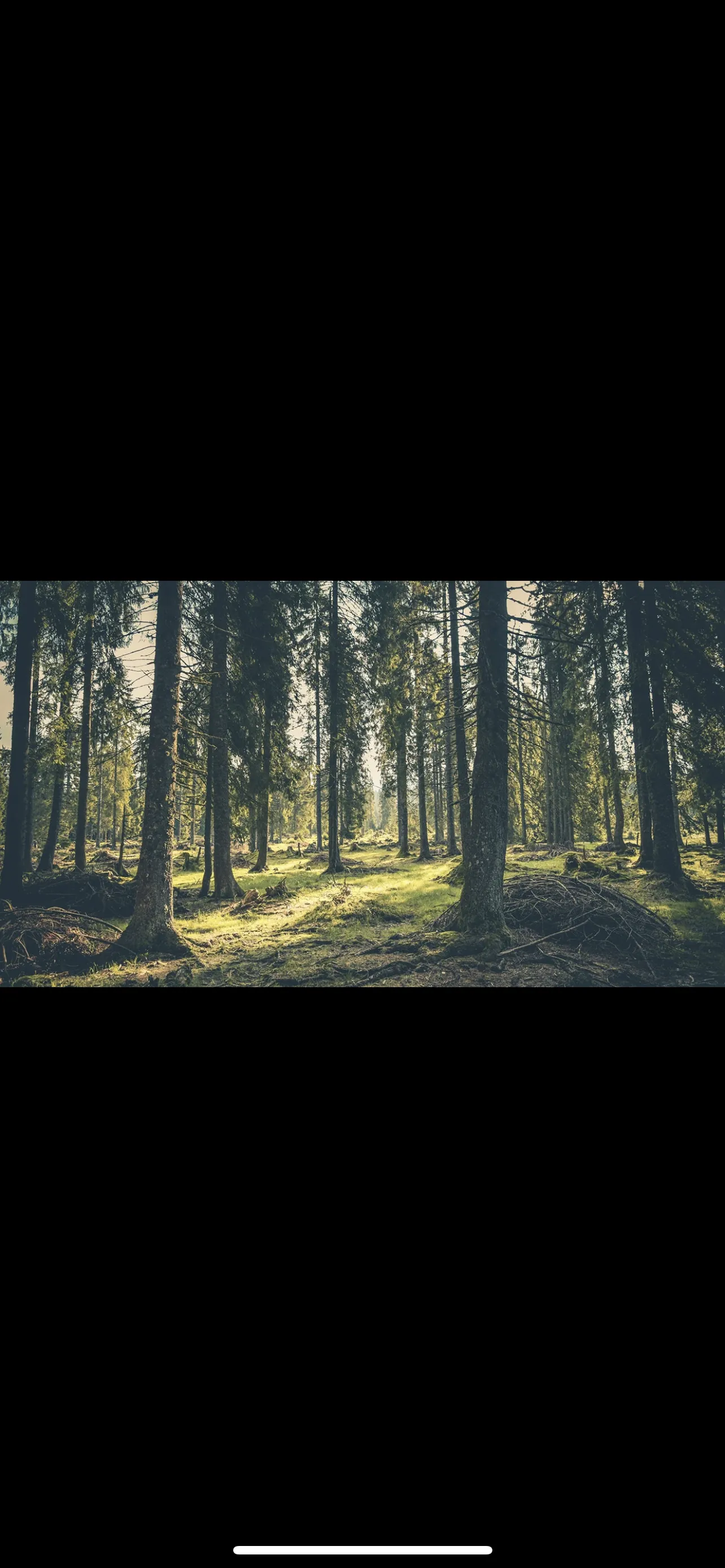 9inchdaddysan OnlyFans header