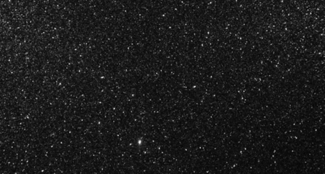 Bebesauros OnlyFans header