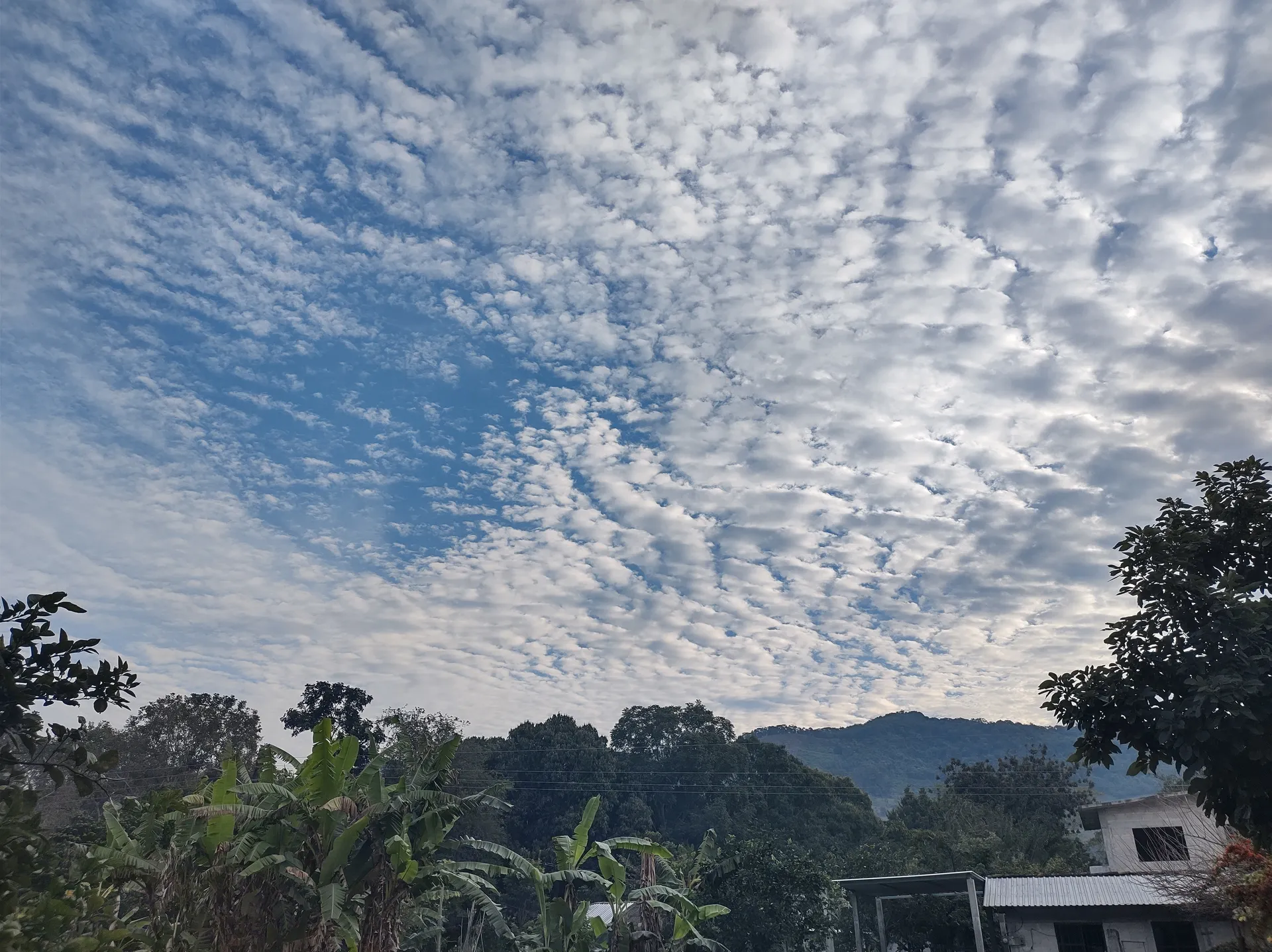 Belén OnlyFans header