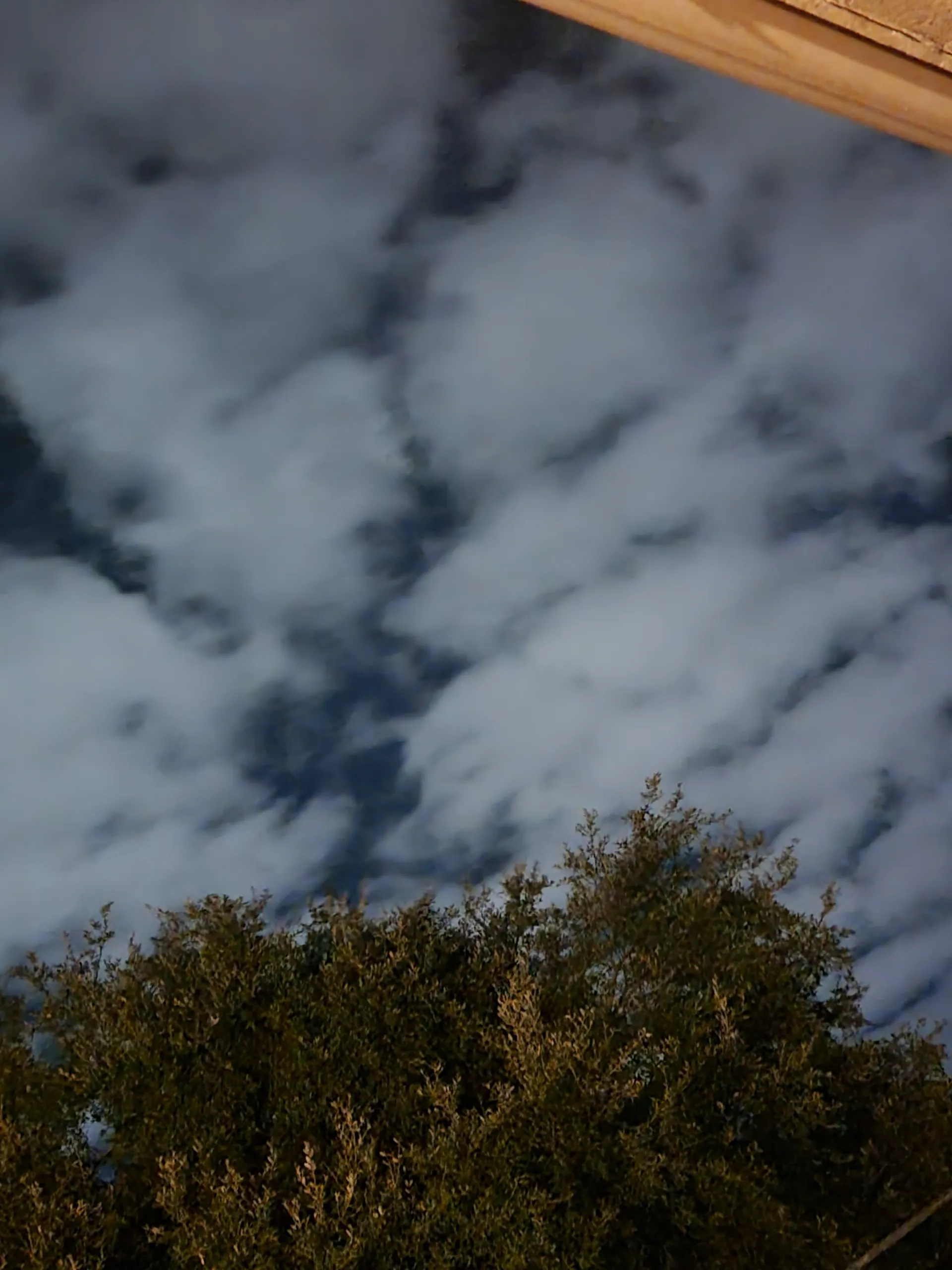 Tristan rose OnlyFans header