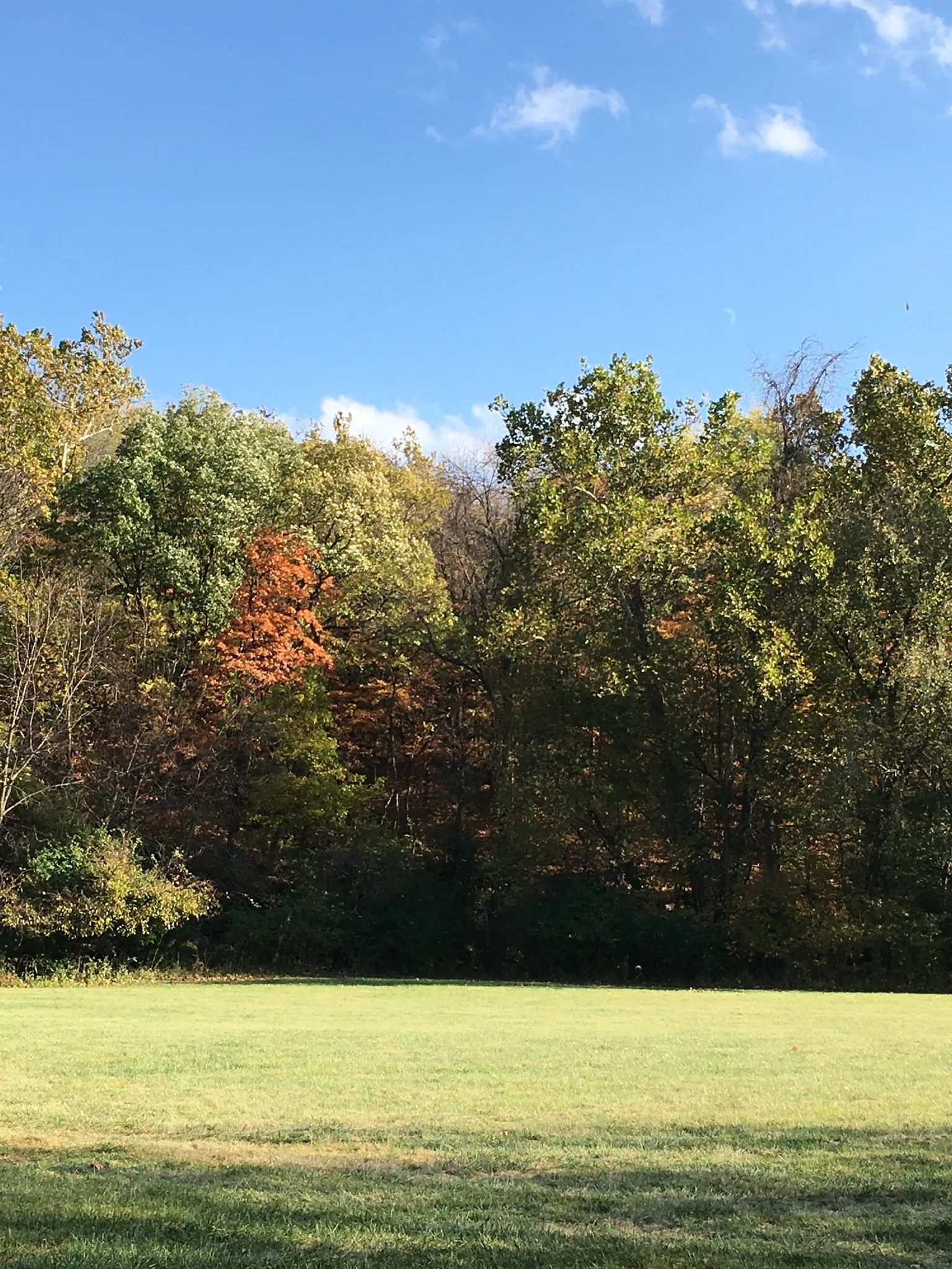 Becca OnlyFans header