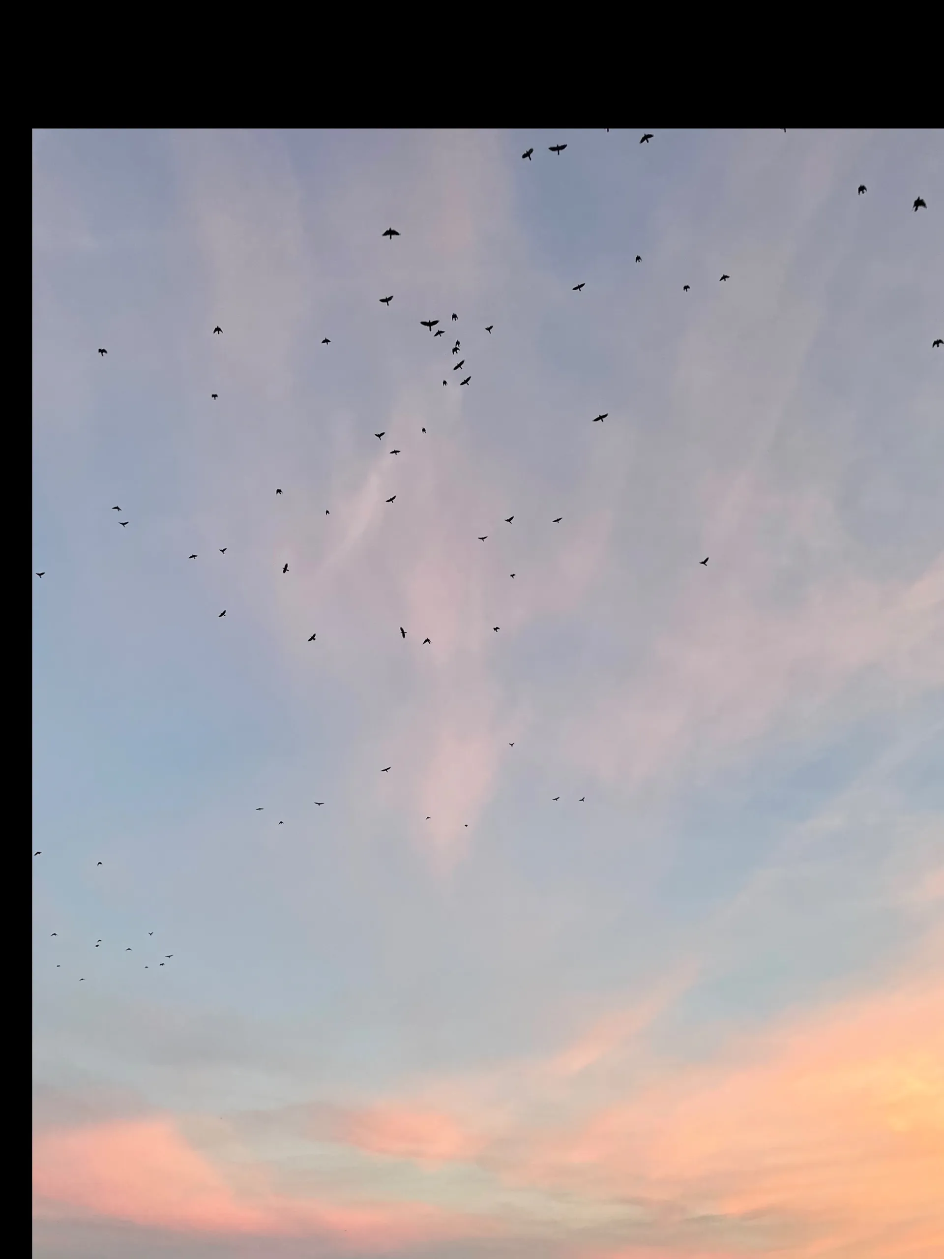 BeCeline OnlyFans header