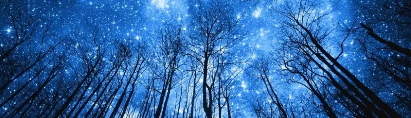 Lola the Little Cat OnlyFans header