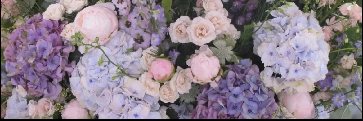 Becky V OnlyFans header