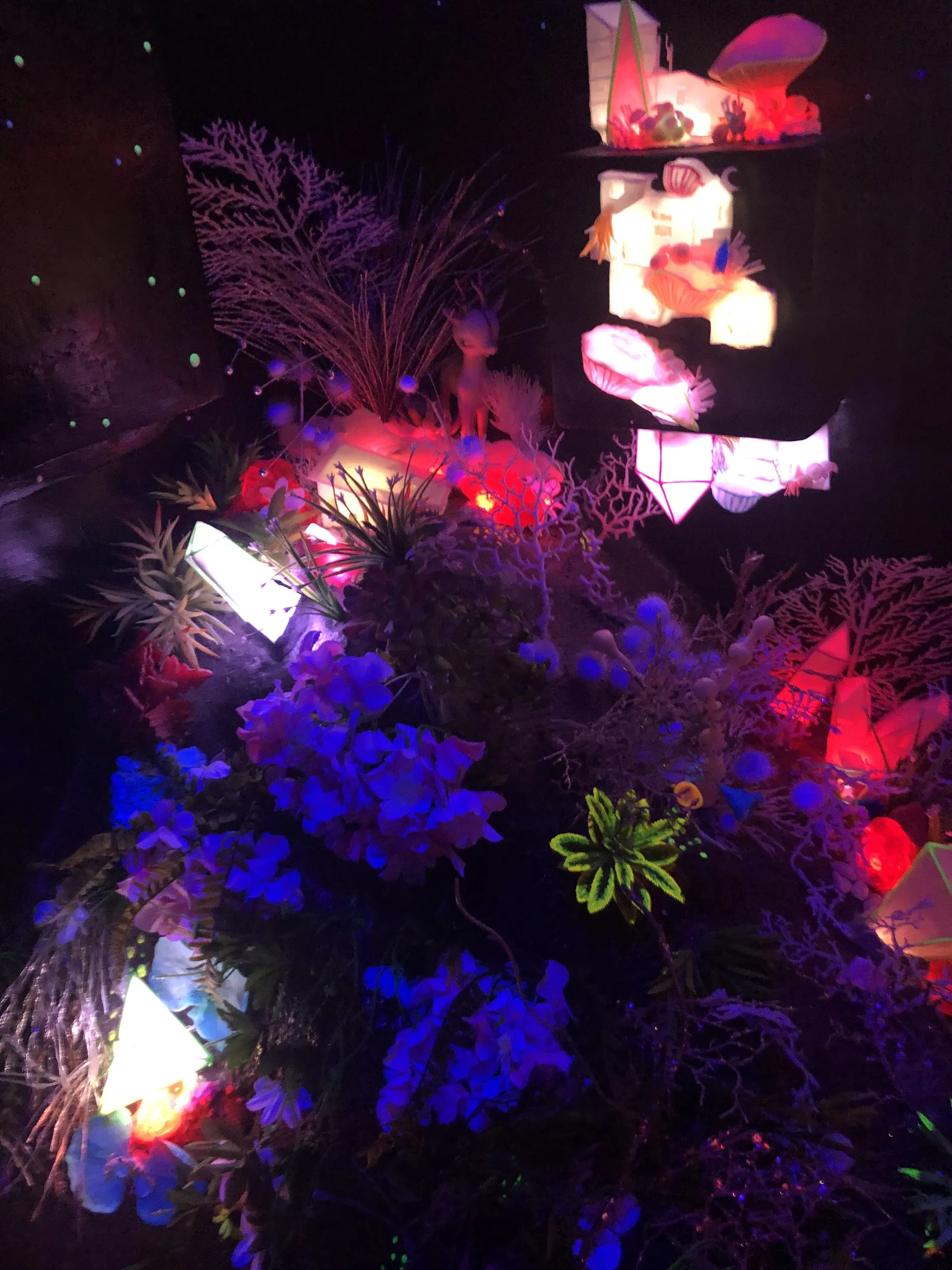 Rose OnlyFans header