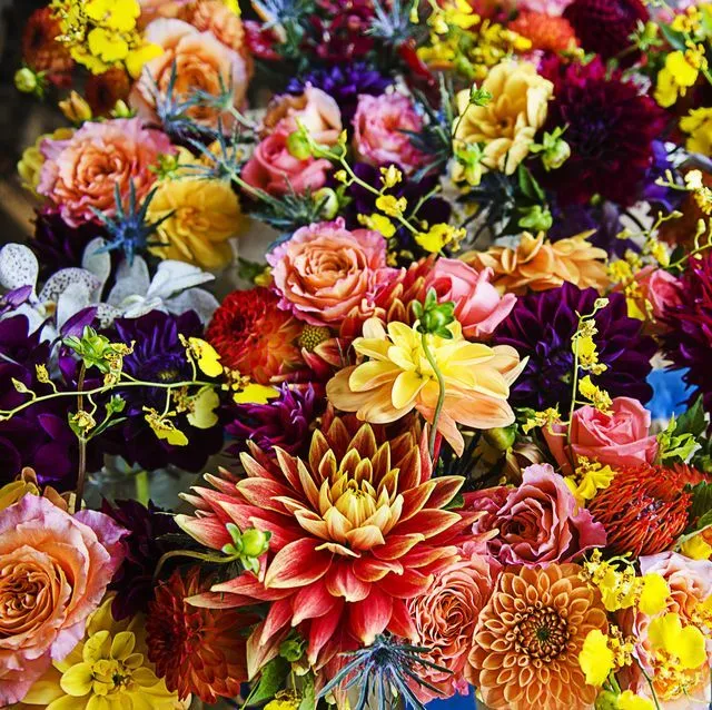 Becs OnlyFans header