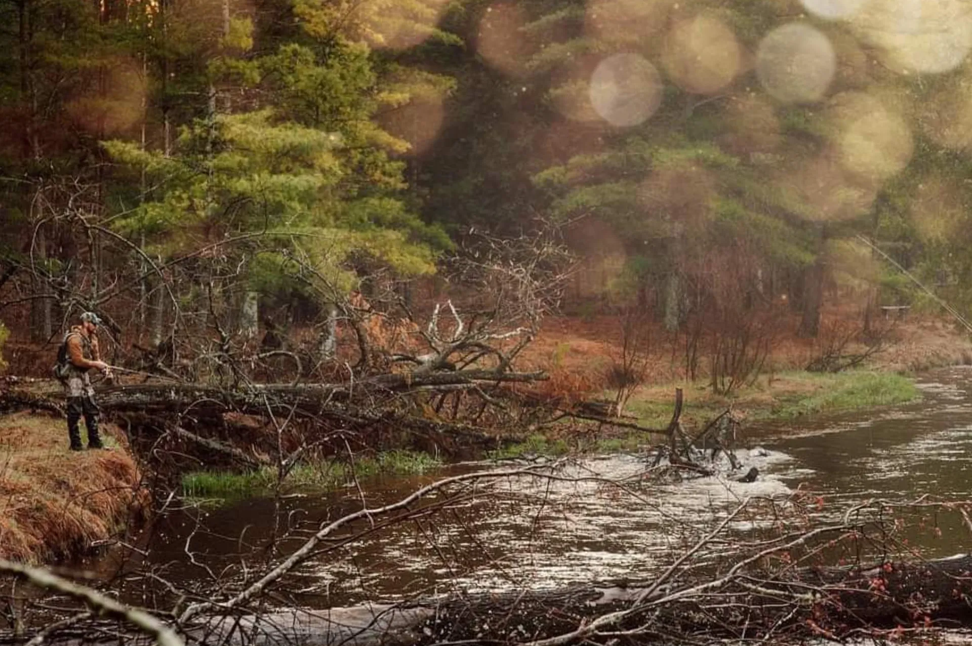 Bedx OnlyFans header