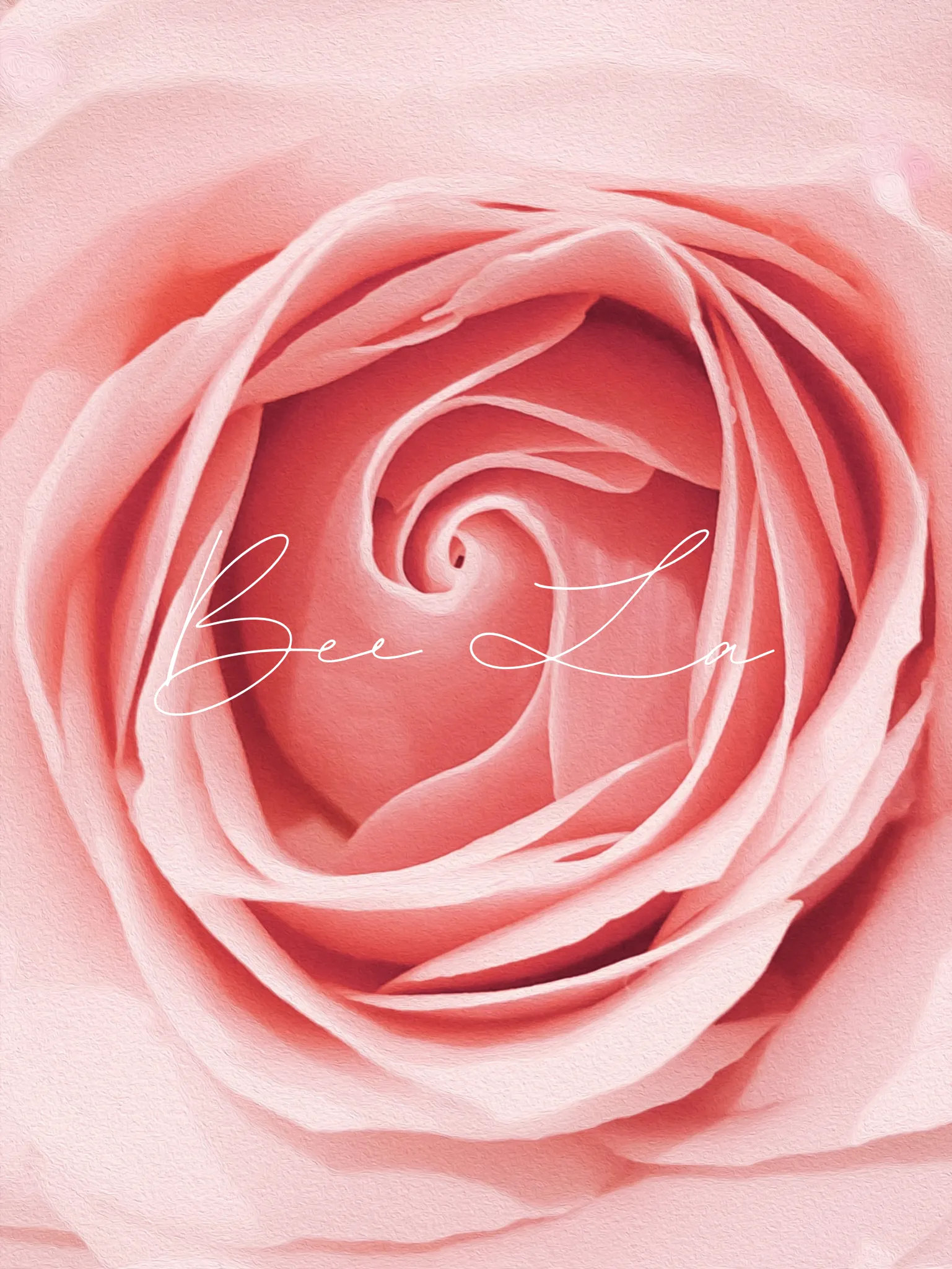 Bee ‧✩₊ ˚ OnlyFans header