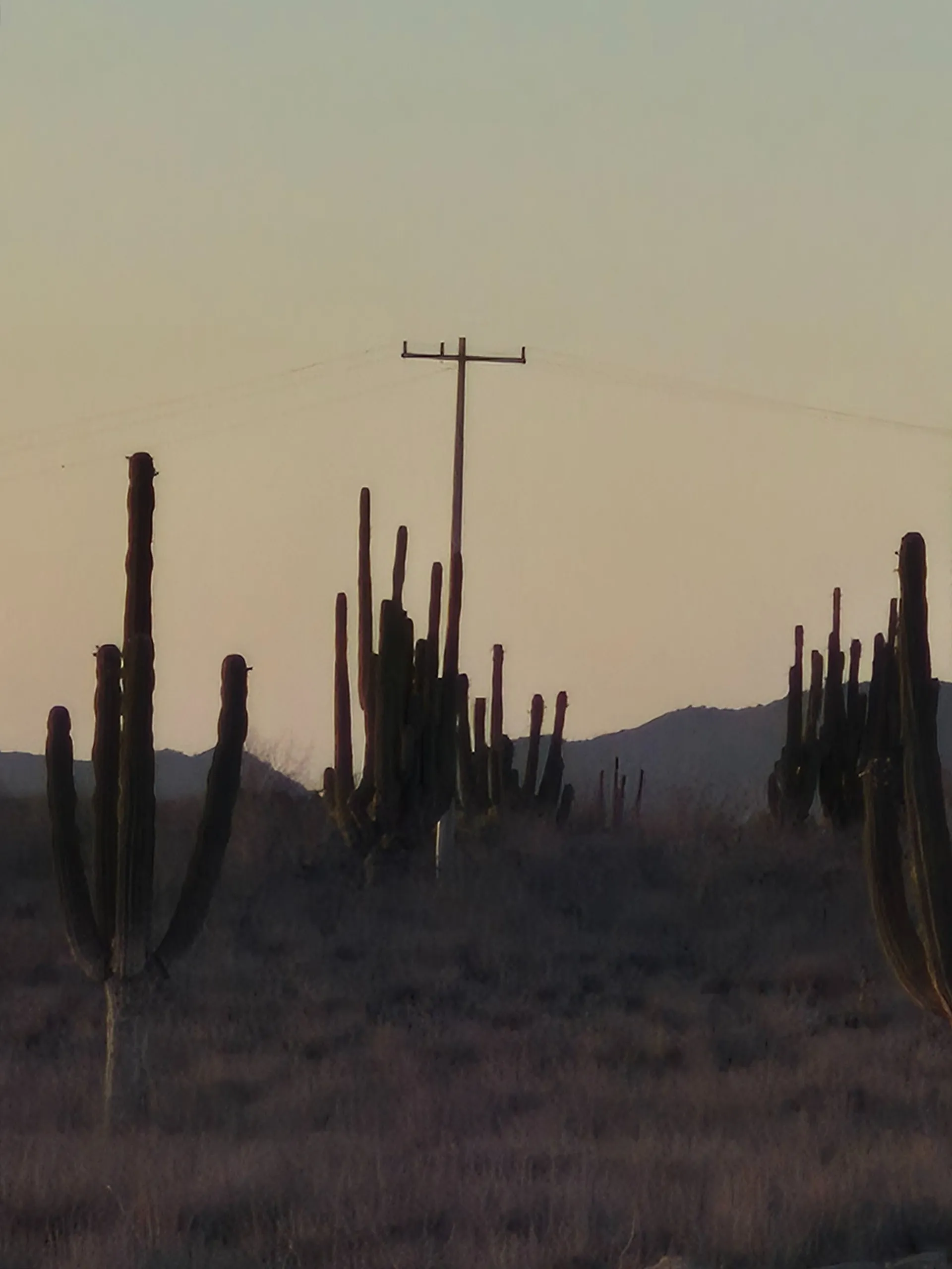 LEENA BEE OnlyFans header