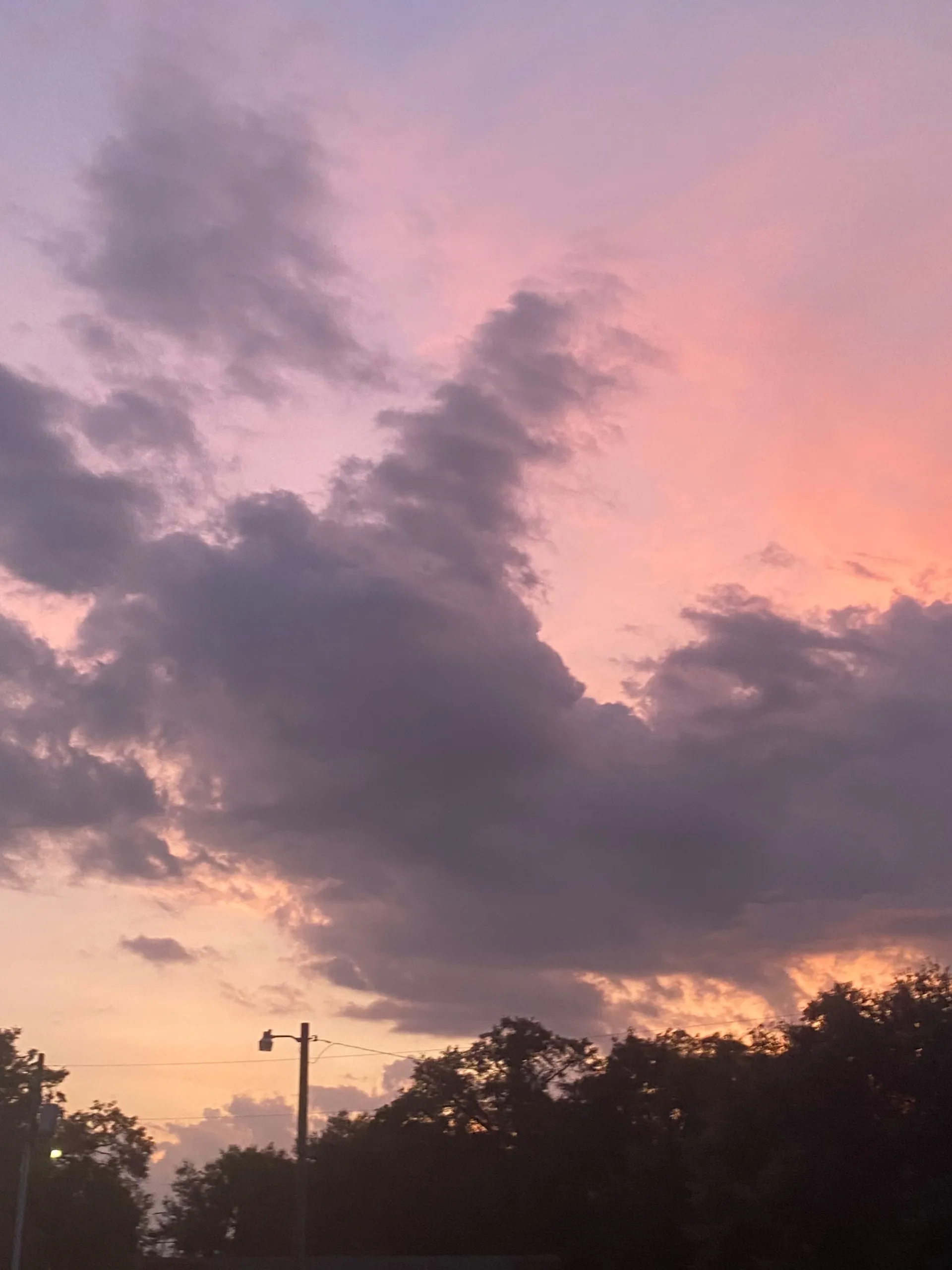 BeeAfterDark352 OnlyFans header