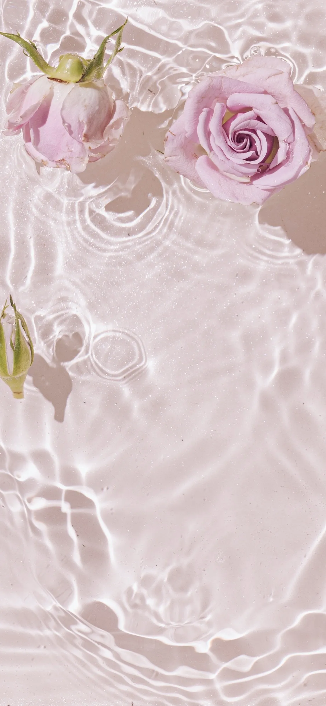 beebo💚✨ OnlyFans header