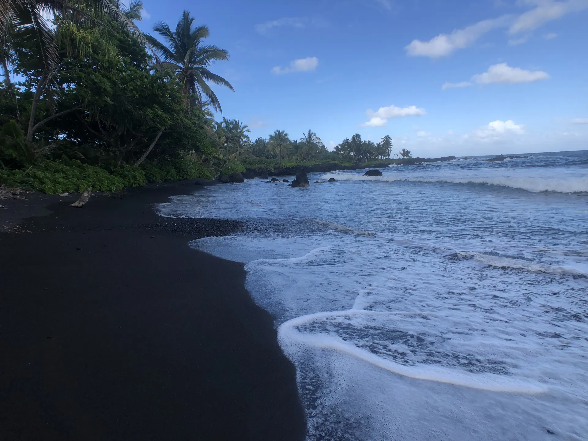 Bee 🐝 OnlyFans header