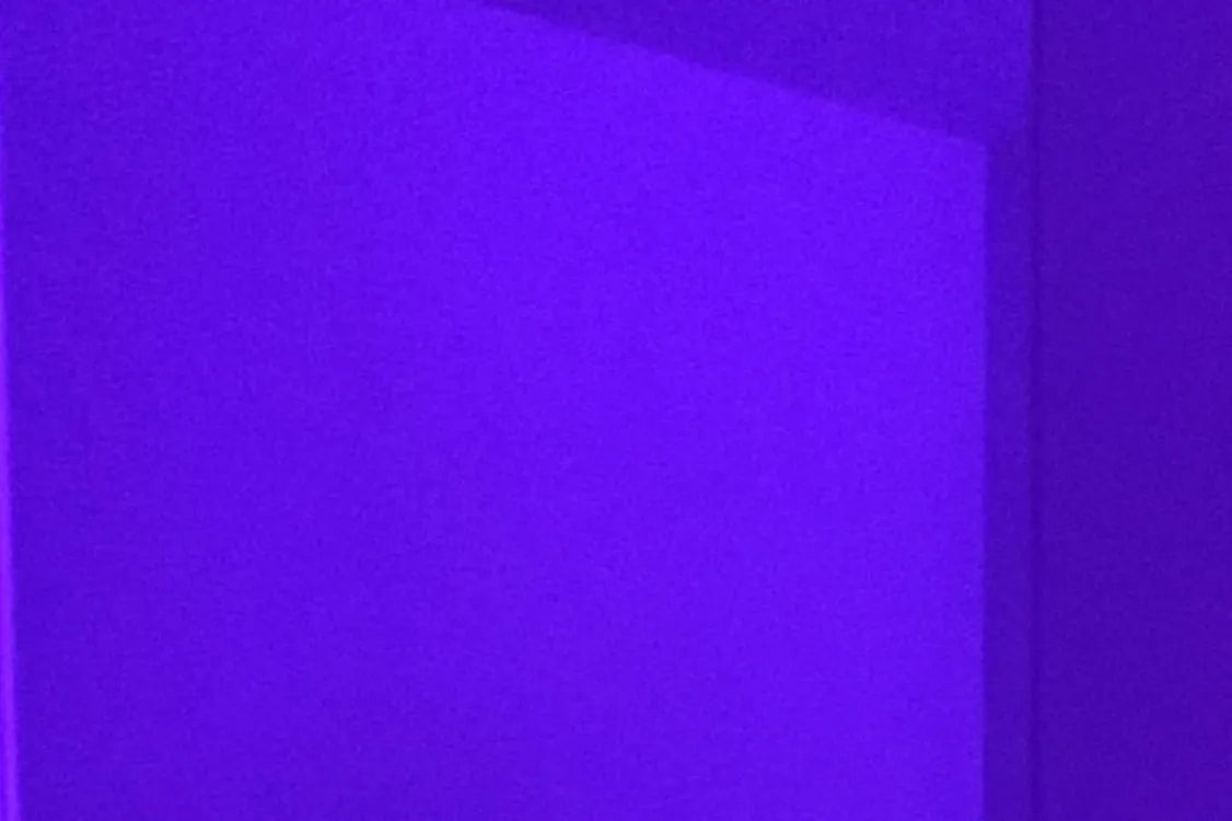 Ayneles Bell 💜 OnlyFans header