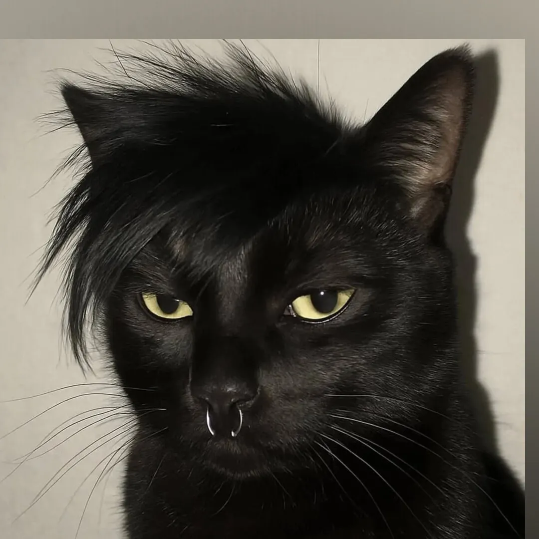 Brit Brat 🙈 OnlyFans header