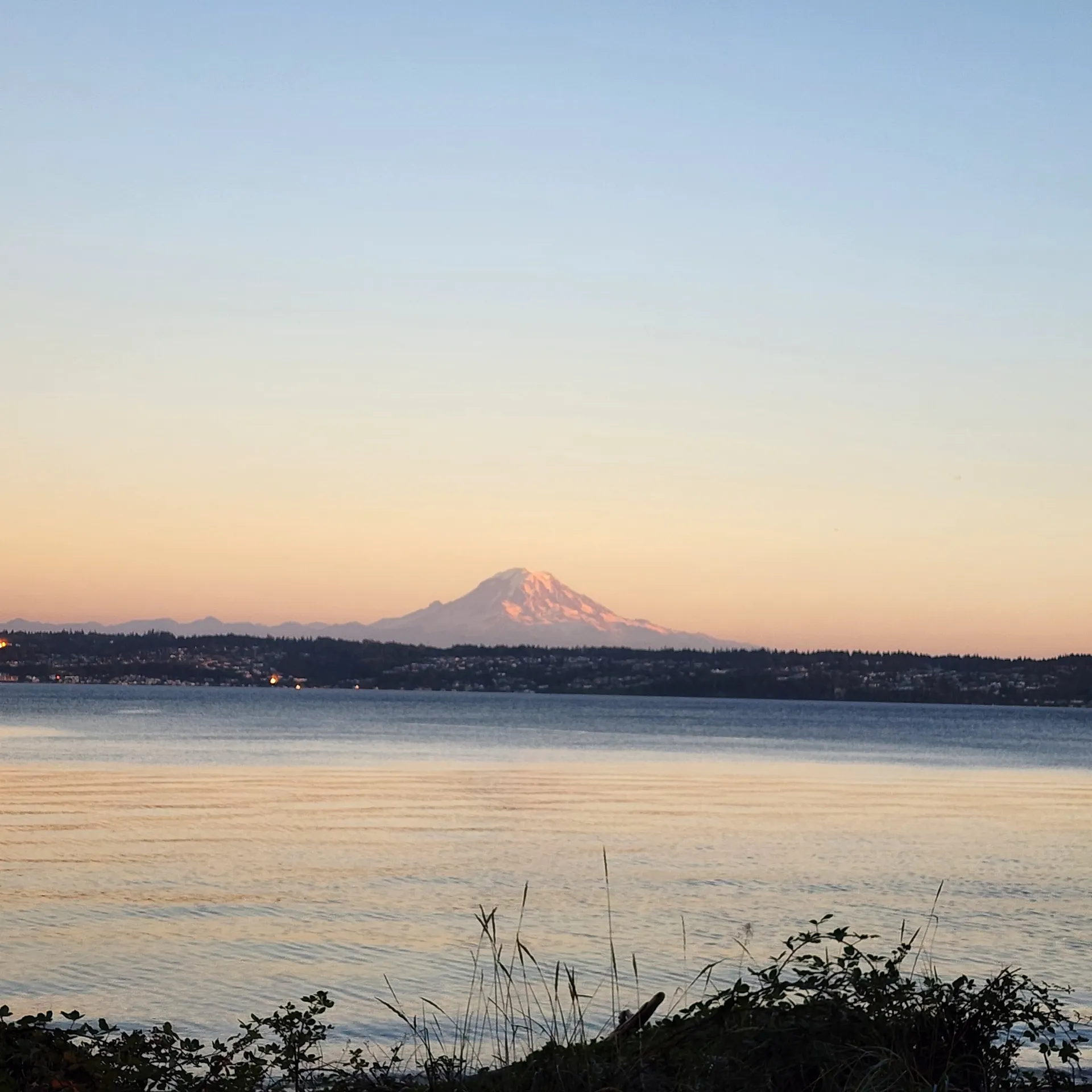 Beefy OnlyFans header