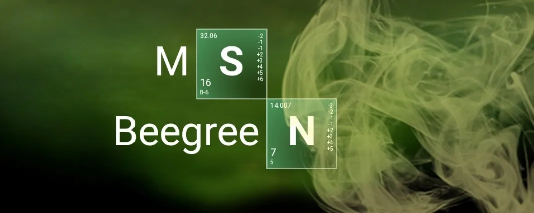 Mss Beegreen OnlyFans header