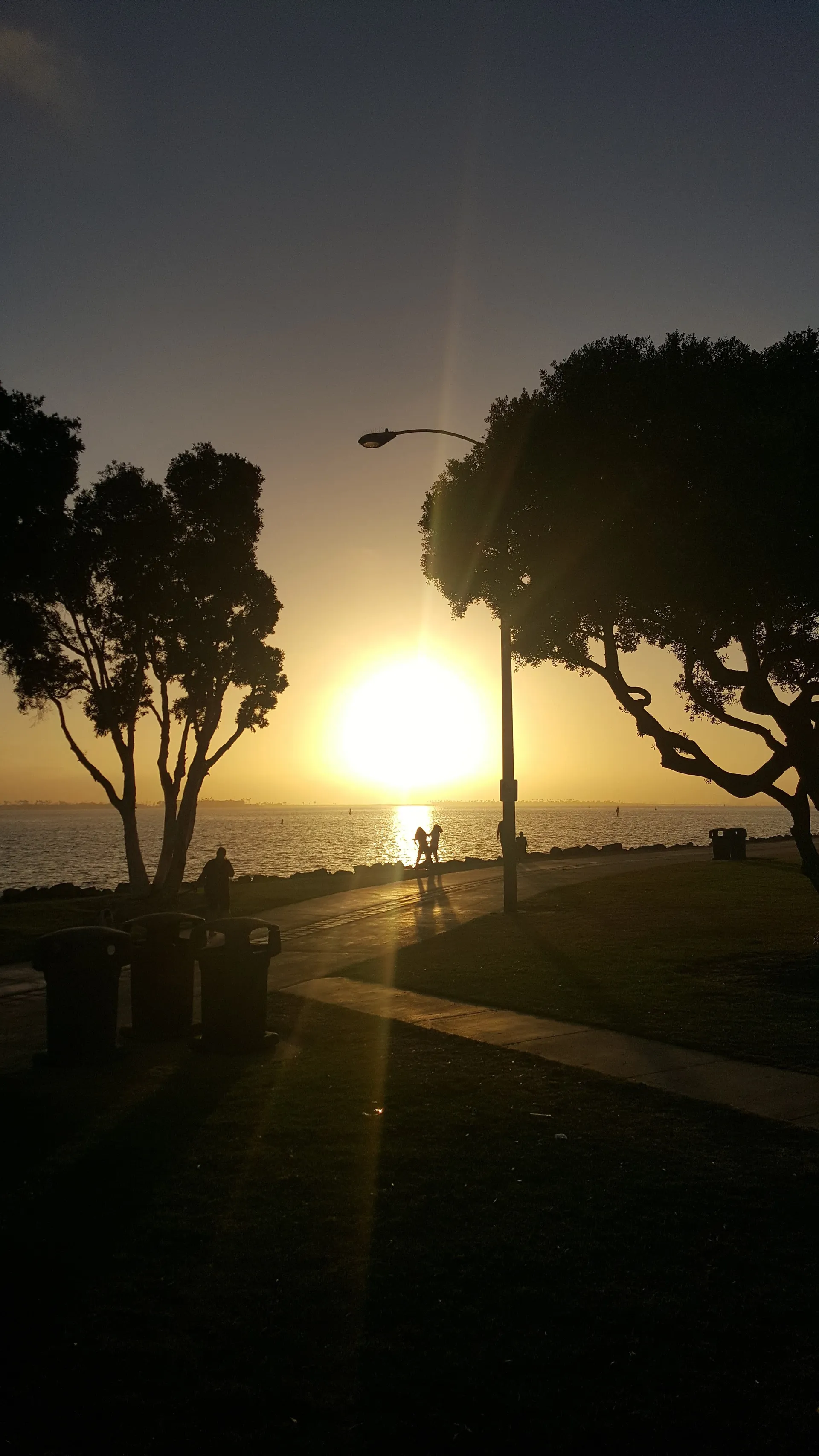 BEESEXXYY619 OnlyFans header