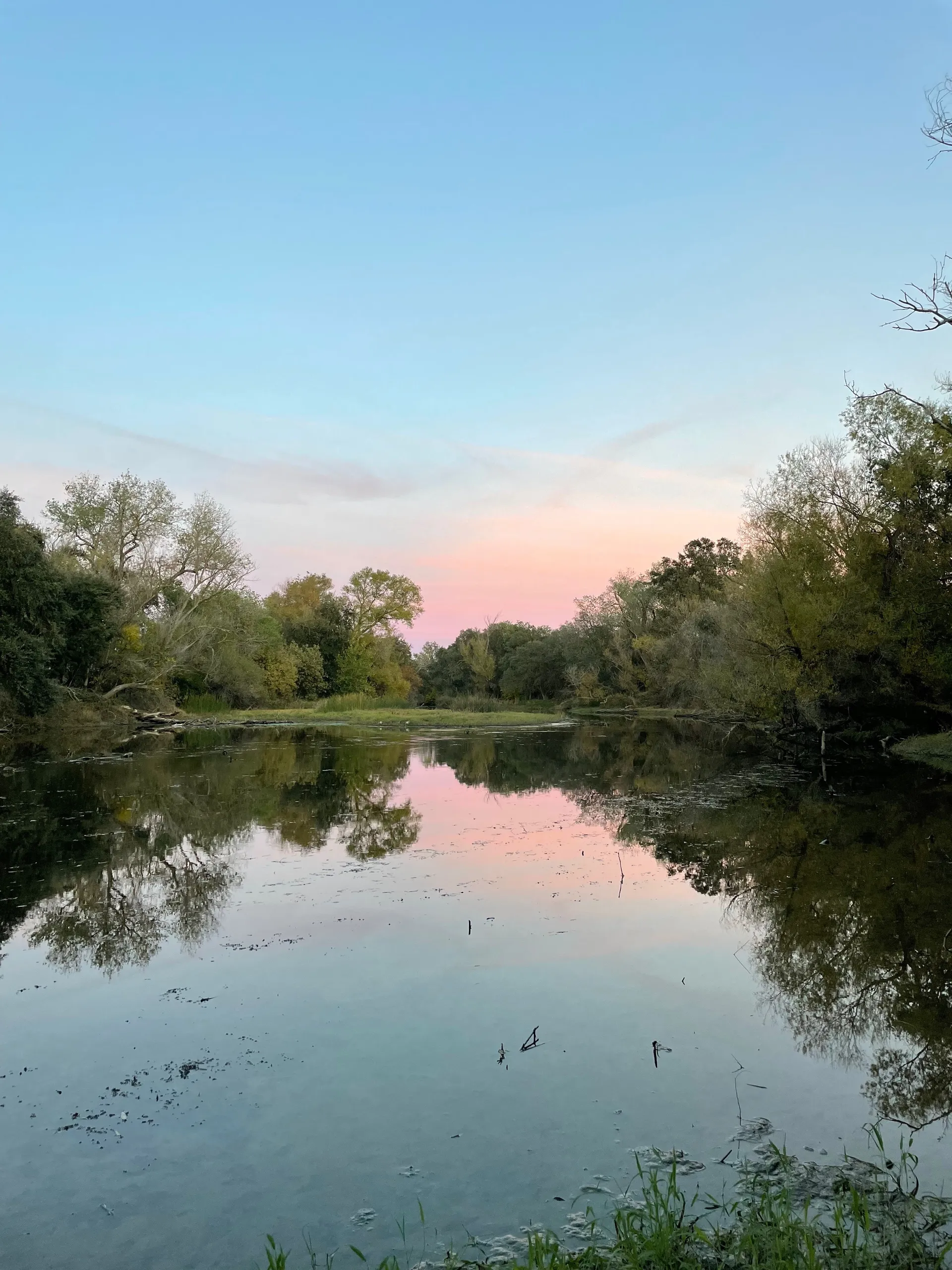 Camille Malia OnlyFans header