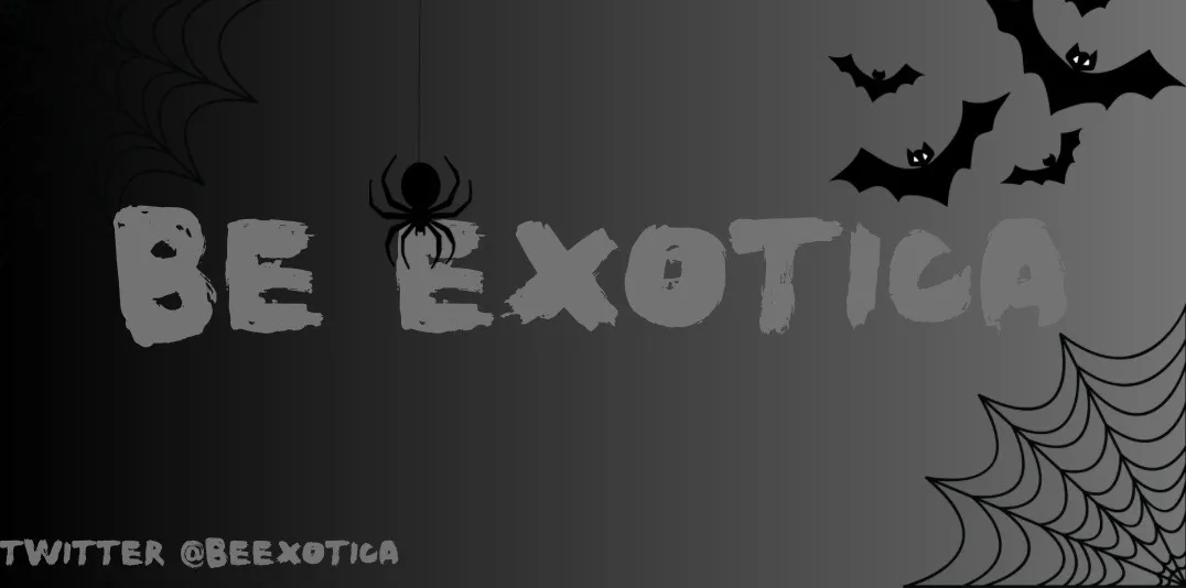 BeExotica OnlyFans header