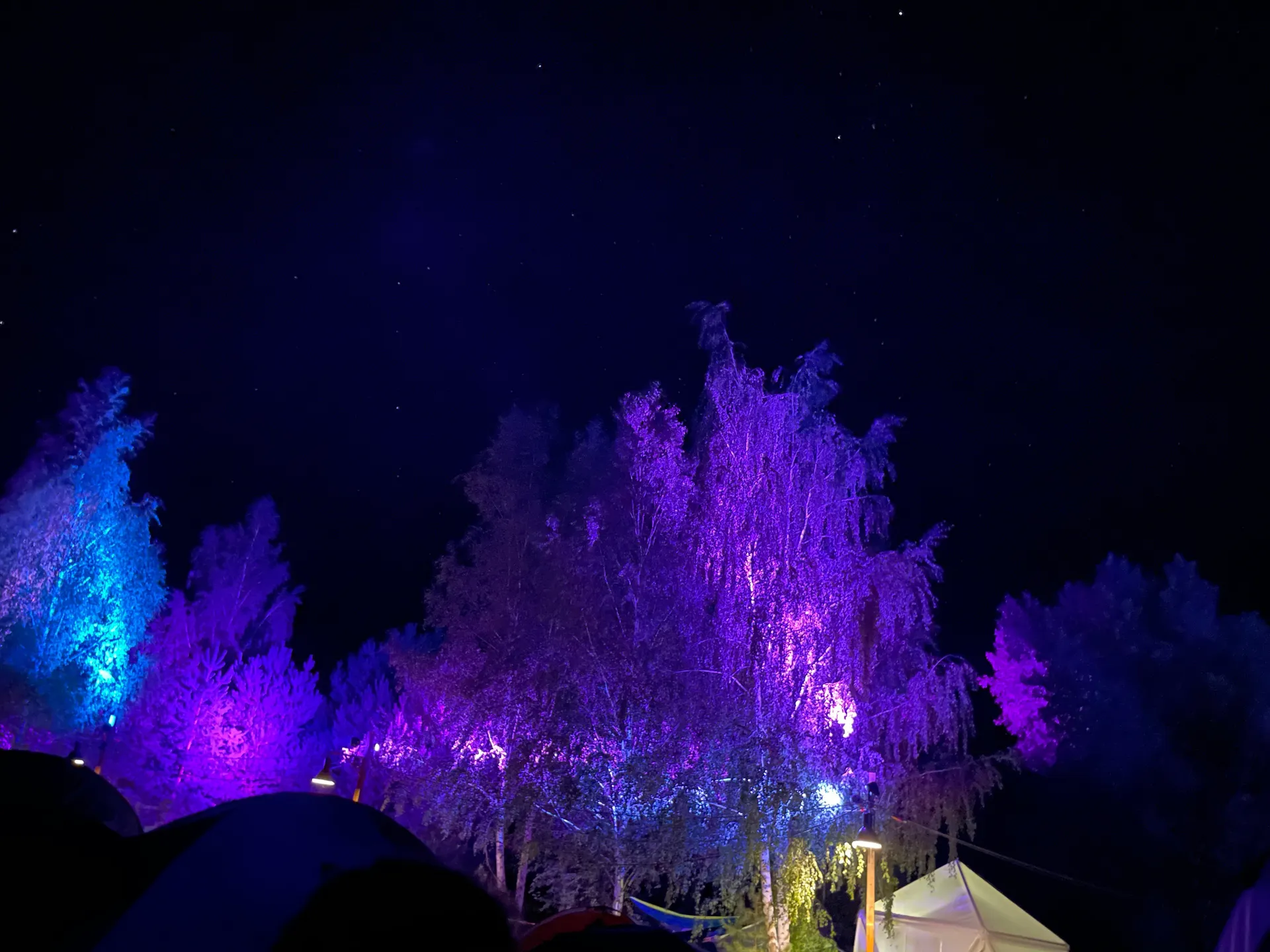 BeforeDark OnlyFans header