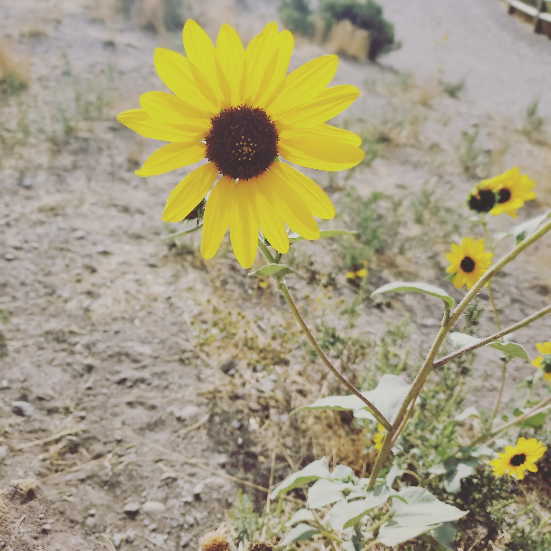 beginagain1322 OnlyFans header