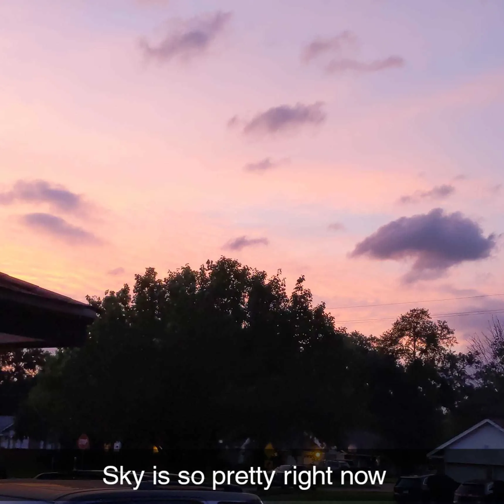 Begonia OnlyFans header