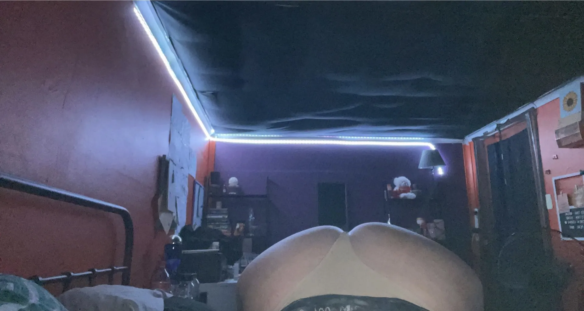 Amy OnlyFans header