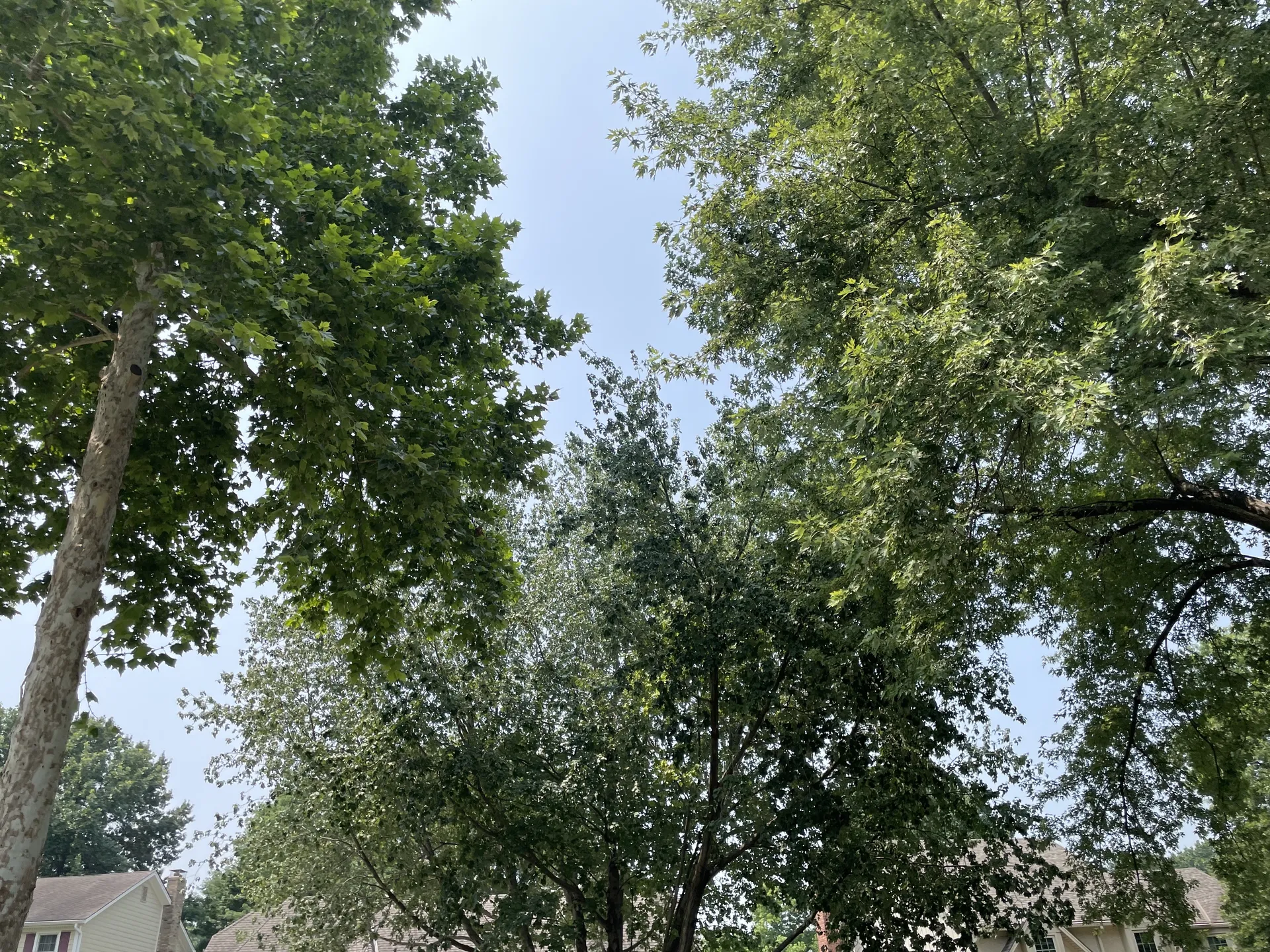 Bekindtoall OnlyFans header