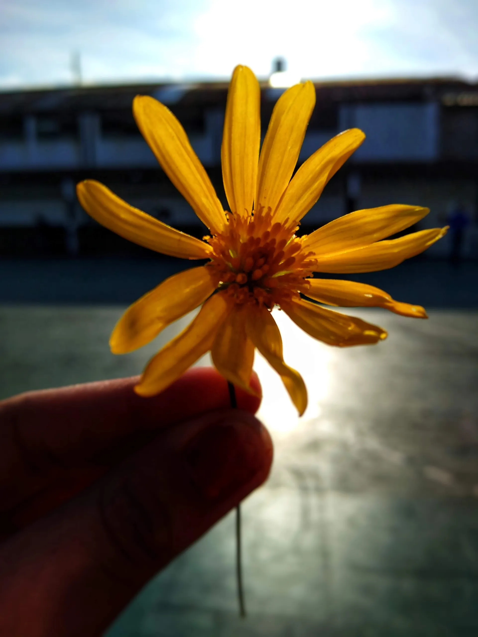 Belen Campos OnlyFans header