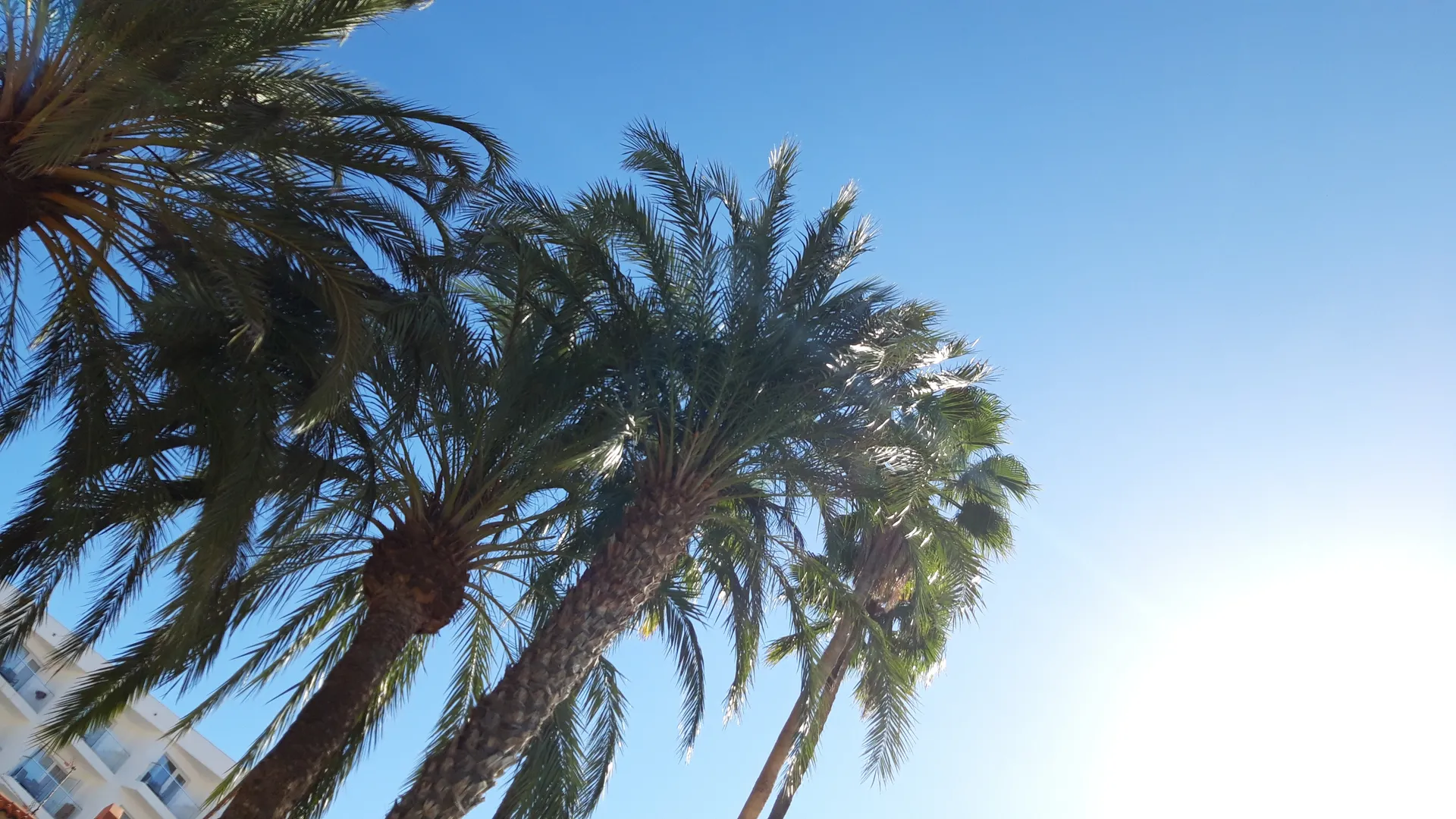 Belgian_chubslover OnlyFans header